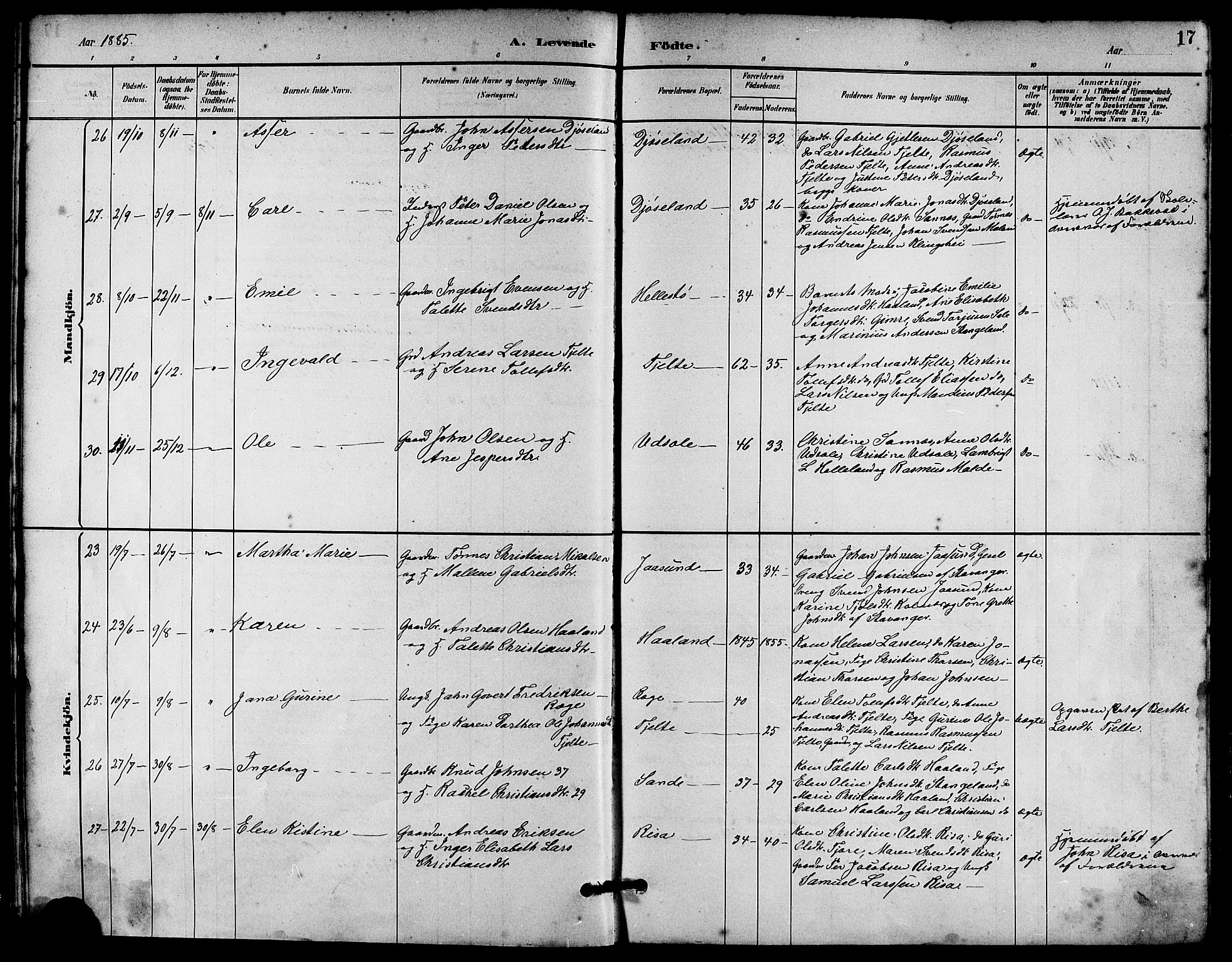 Håland sokneprestkontor, AV/SAST-A-101802/001/30BA/L0010: Ministerialbok nr. A 9, 1883-1888, s. 17