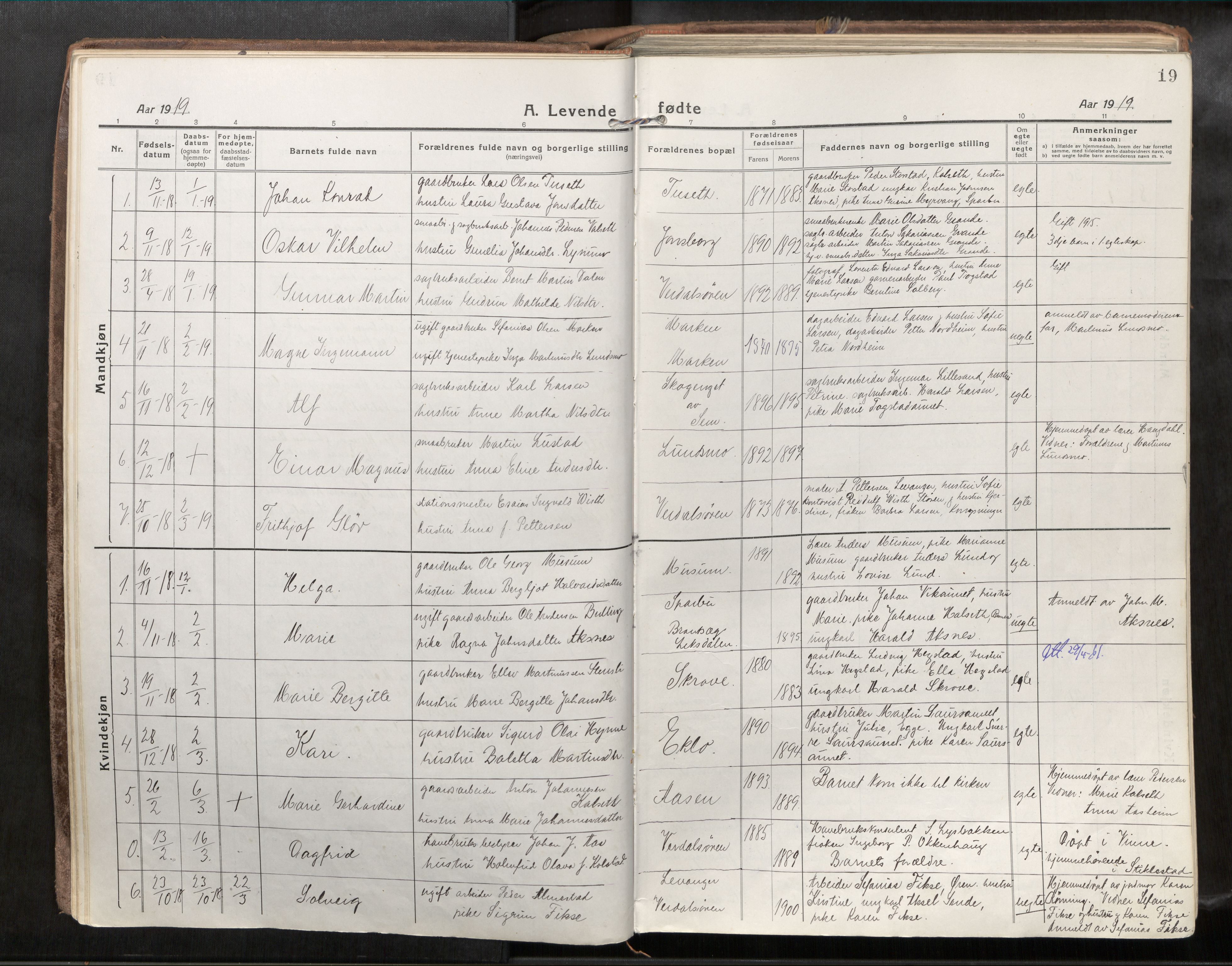 Verdal sokneprestkontor, AV/SAT-A-1156/2/H/Haa/L0001: Ministerialbok nr. 1, 1917-1932, s. 19