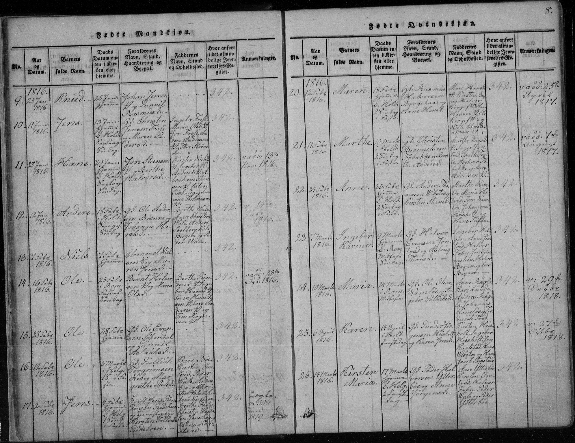 Holla kirkebøker, AV/SAKO-A-272/F/Fa/L0003: Ministerialbok nr. 3, 1815-1830, s. 8