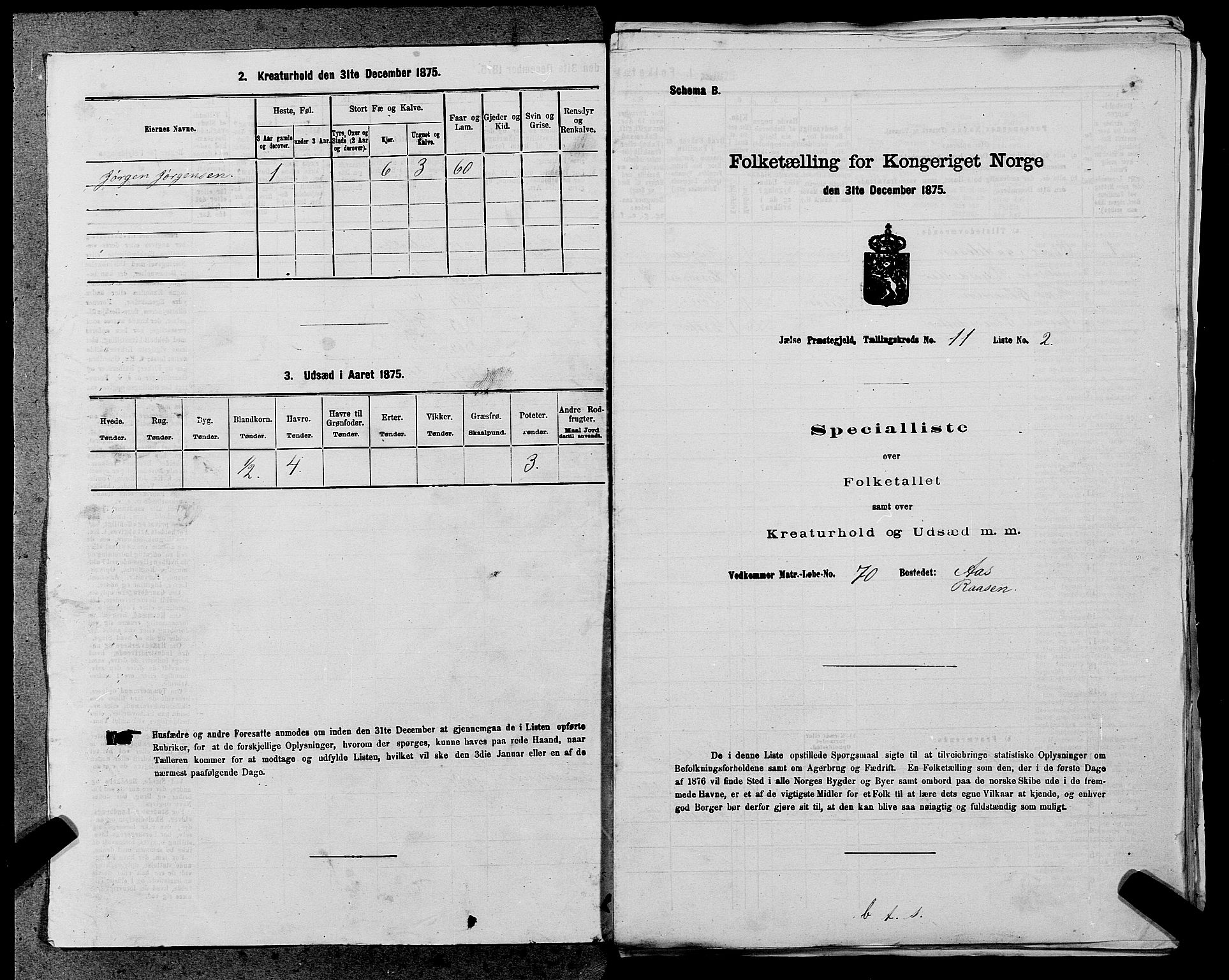 SAST, Folketelling 1875 for 1138P Jelsa prestegjeld, 1875, s. 976