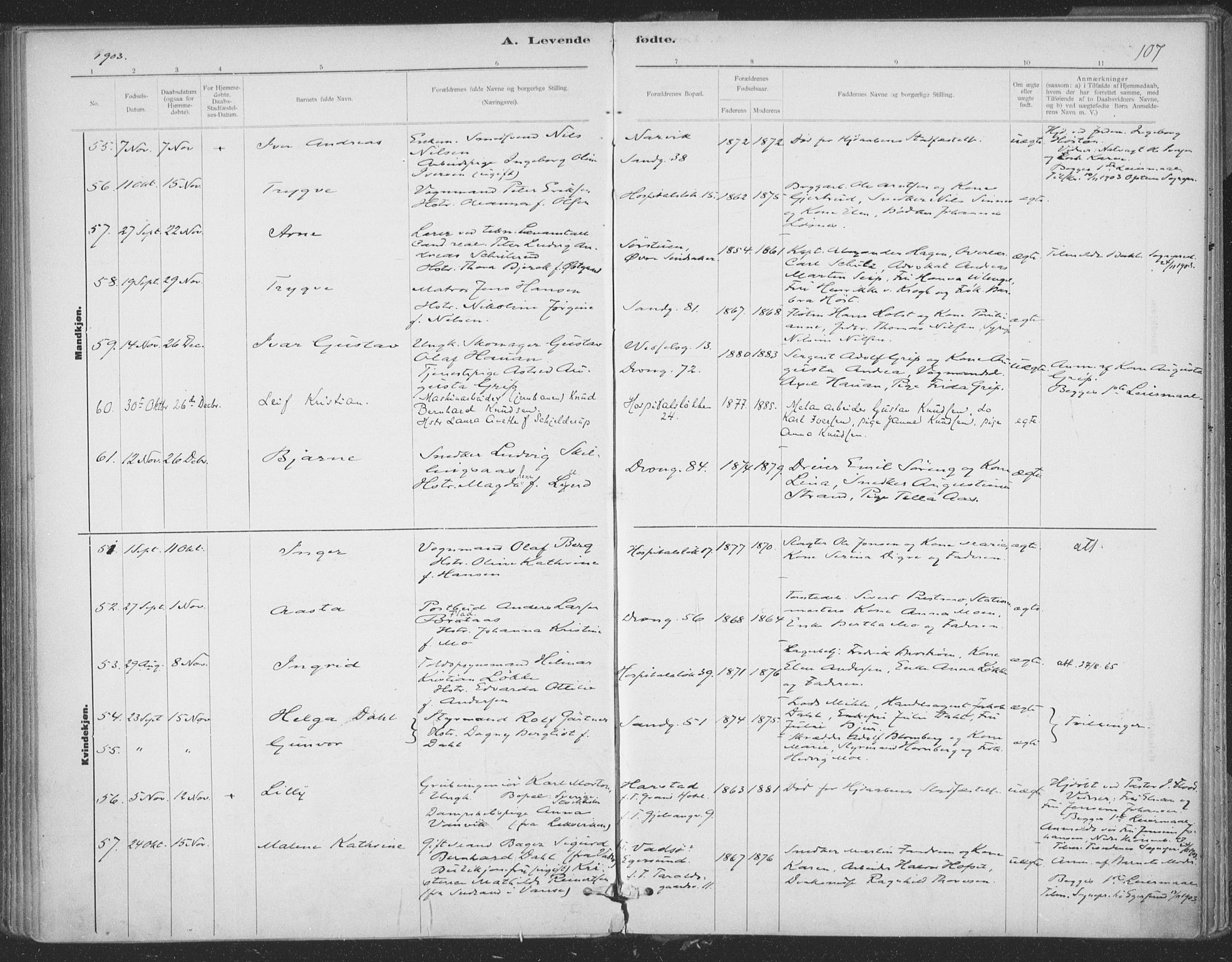 Ministerialprotokoller, klokkerbøker og fødselsregistre - Sør-Trøndelag, SAT/A-1456/602/L0122: Ministerialbok nr. 602A20, 1892-1908, s. 107