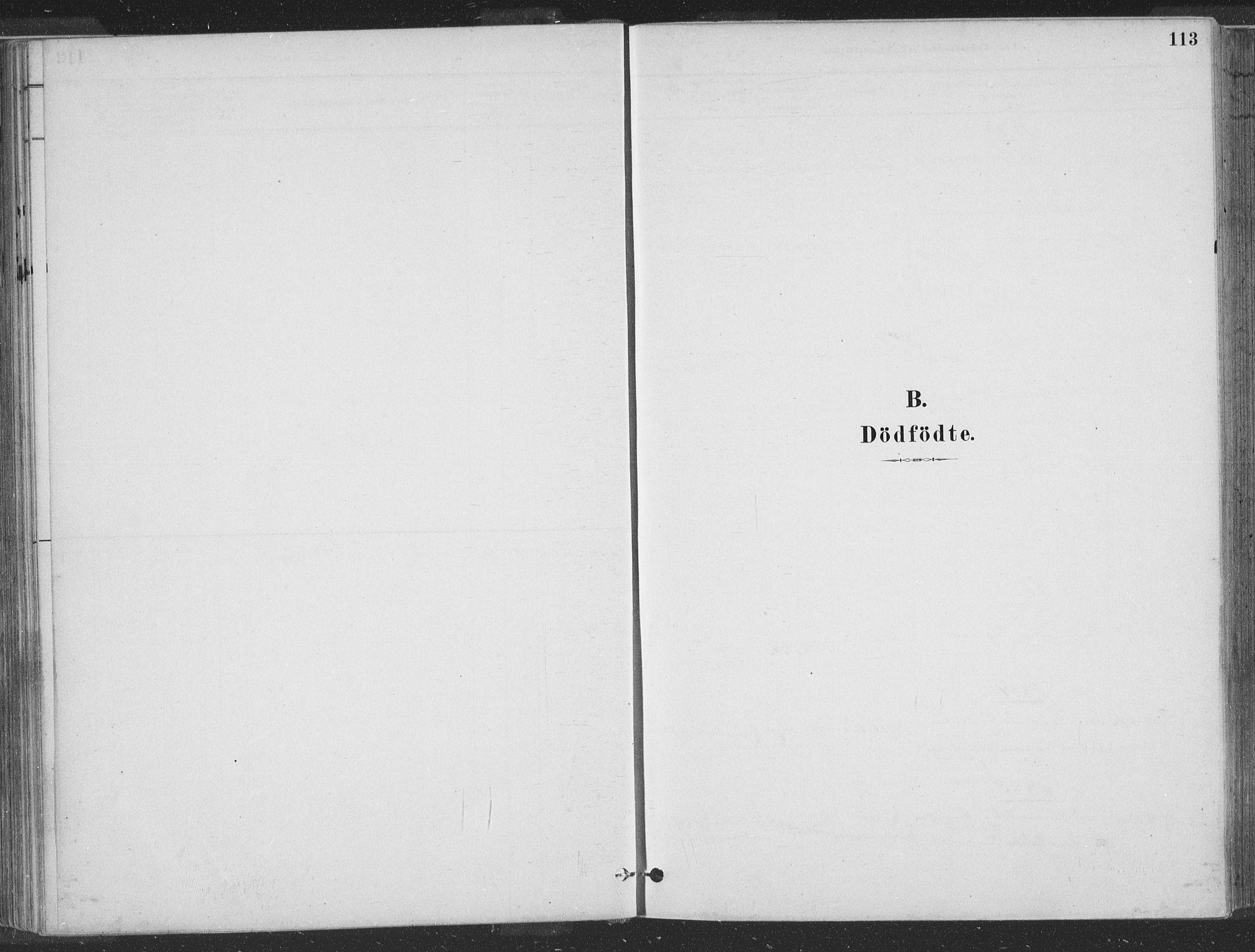 Hå sokneprestkontor, AV/SAST-A-101801/001/30BA/L0010: Ministerialbok nr. A 9, 1879-1896, s. 113