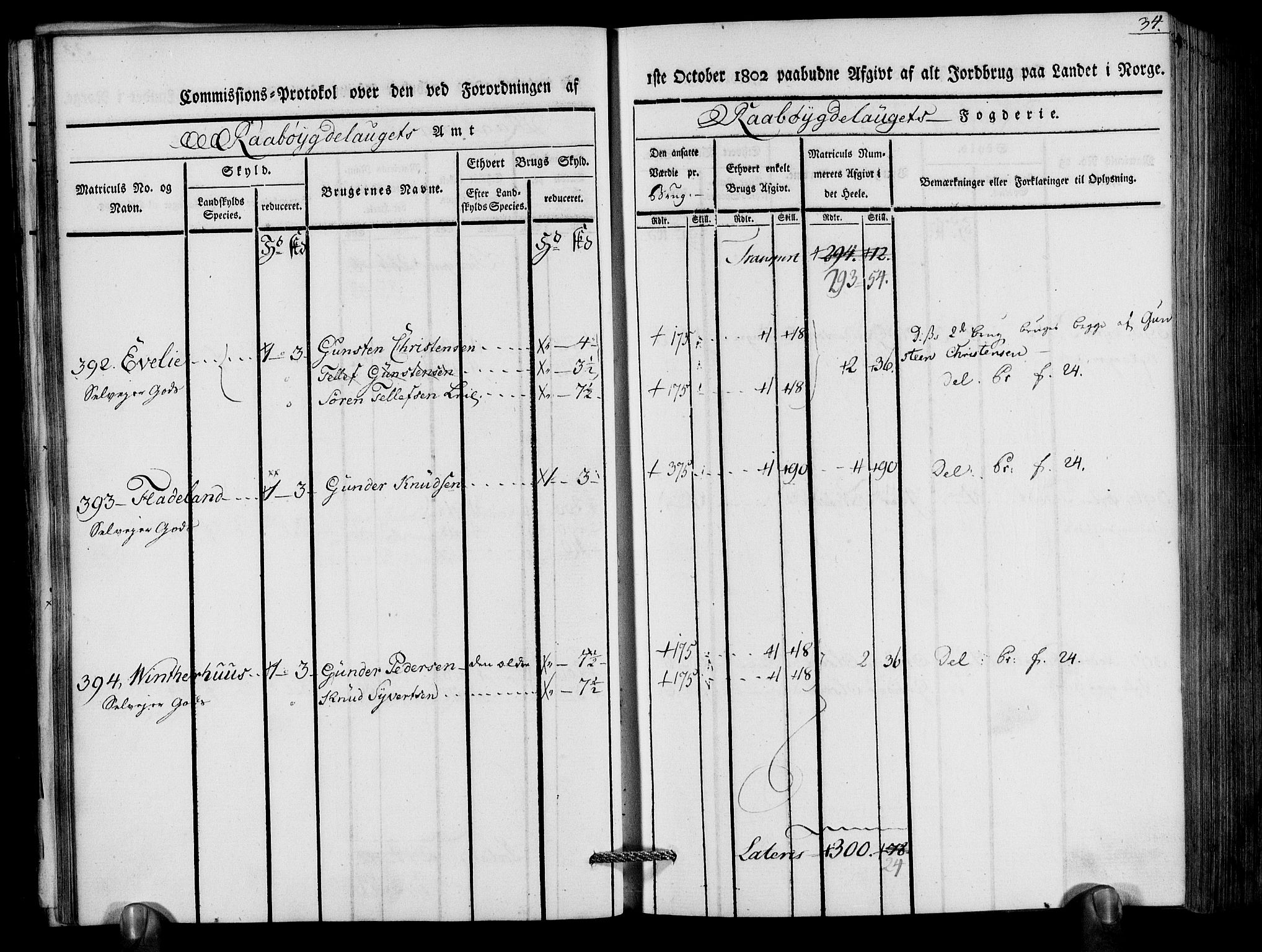 Rentekammeret inntil 1814, Realistisk ordnet avdeling, AV/RA-EA-4070/N/Ne/Nea/L0083: Råbyggelag fogderi. Kommisjonsprotokoll for Østre Råbyggelagets sorenskriveri, 1803, s. 36