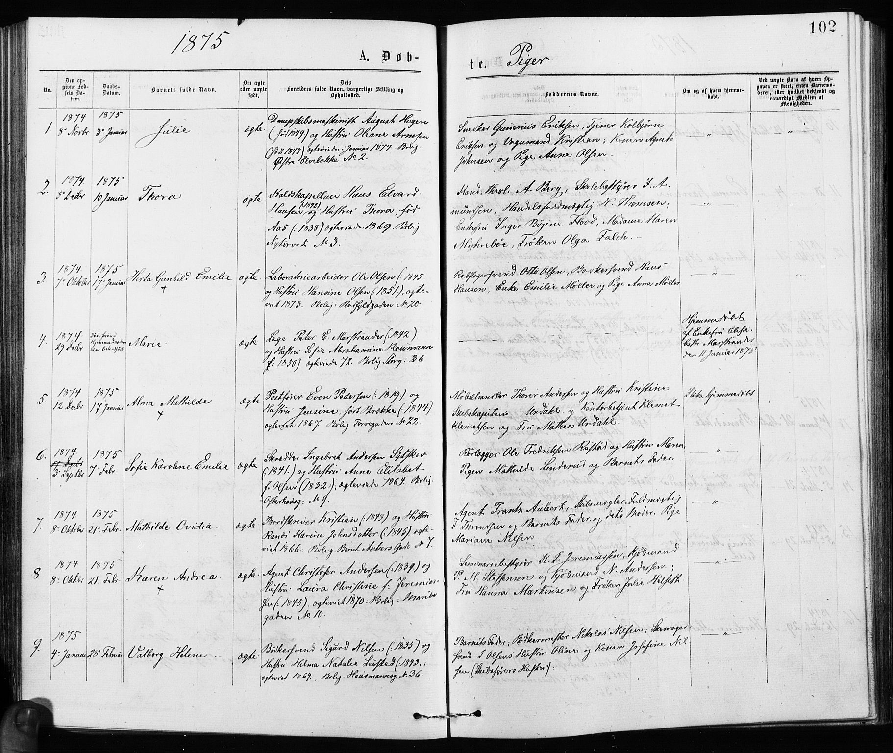 Jakob prestekontor Kirkebøker, AV/SAO-A-10850/F/Fa/L0001: Ministerialbok nr. 1, 1875-1924, s. 102