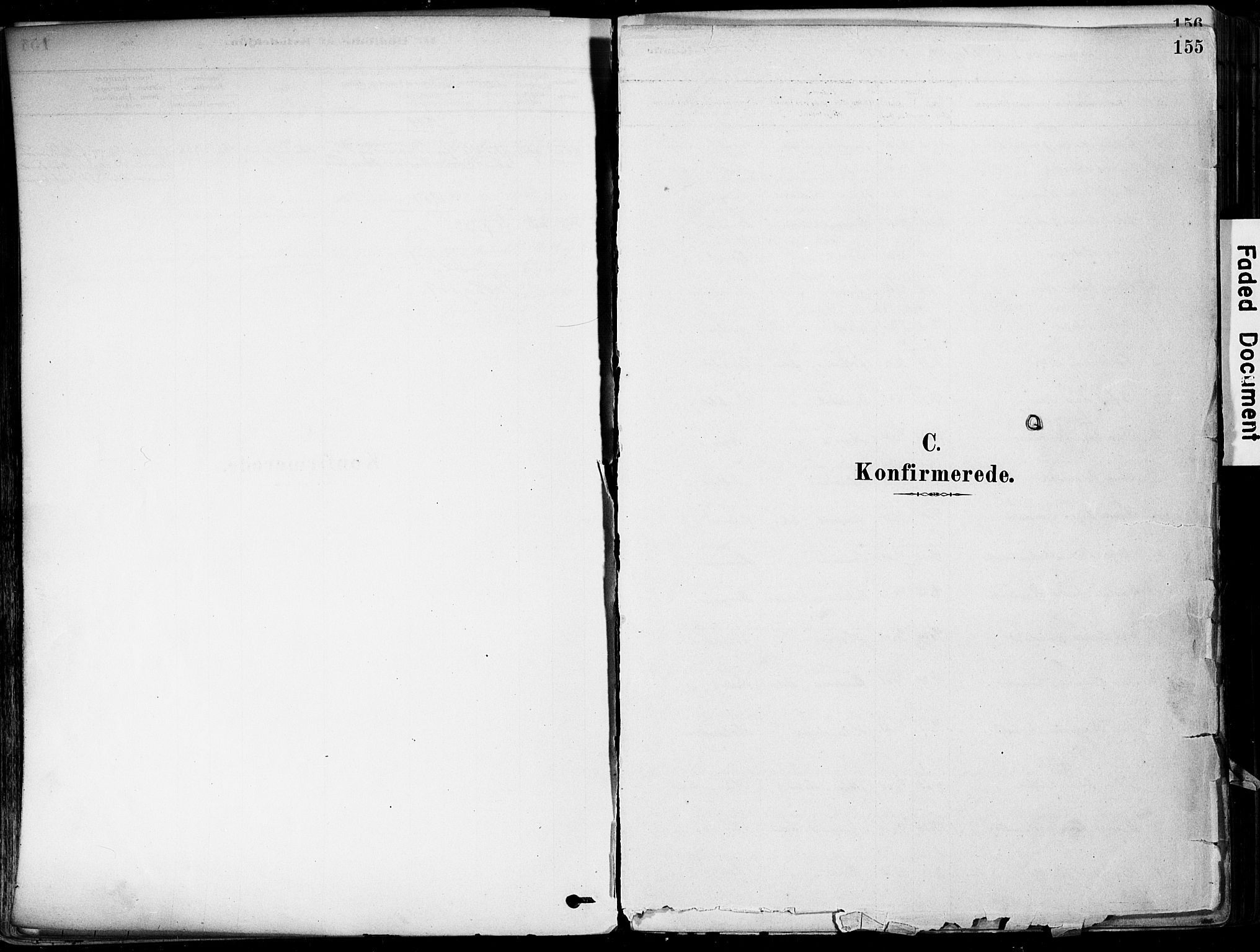 Botne kirkebøker, SAKO/A-340/F/Fa/L0007: Ministerialbok nr. I 7, 1878-1910, s. 155
