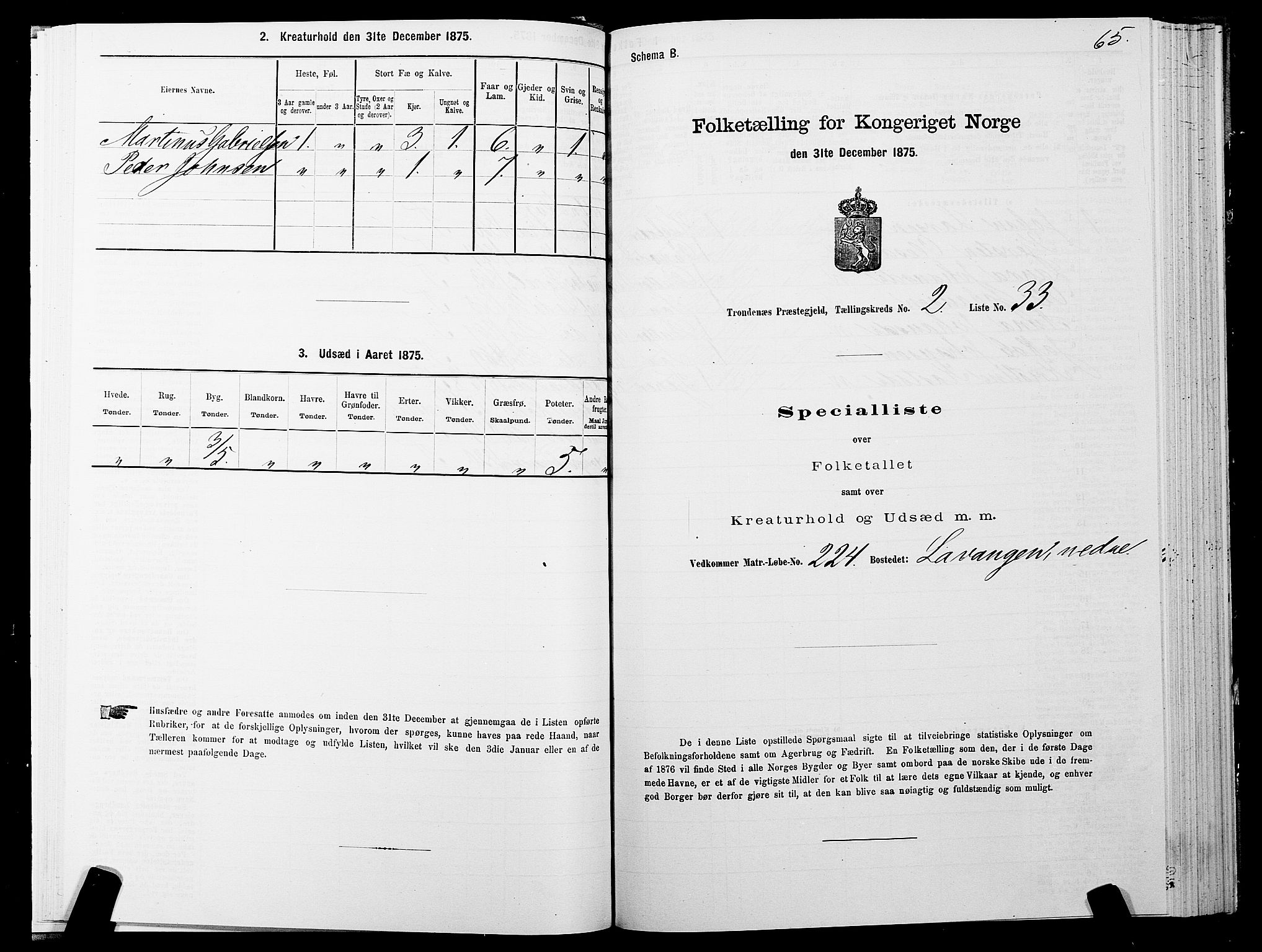 SATØ, Folketelling 1875 for 1914P Trondenes prestegjeld, 1875, s. 2065