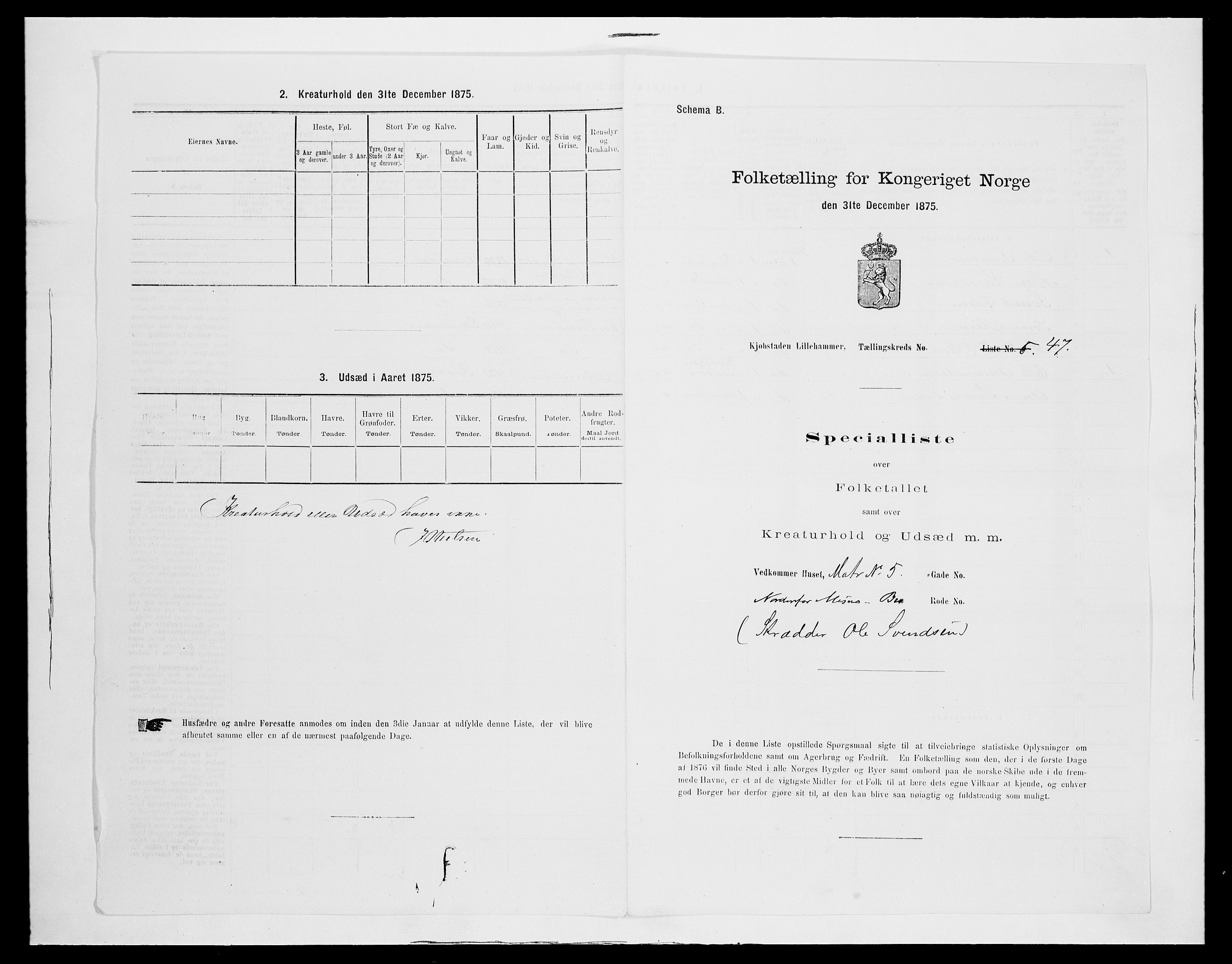 SAH, Folketelling 1875 for 0501B Fåberg prestegjeld, Lillehammer kjøpstad, 1875, s. 105