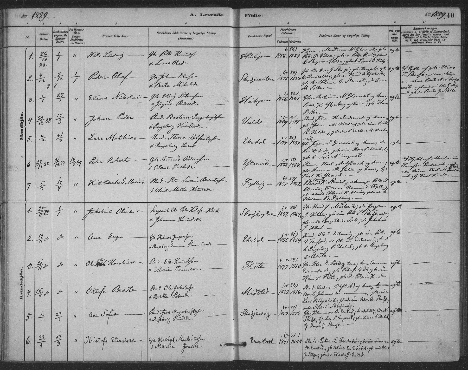 Ministerialprotokoller, klokkerbøker og fødselsregistre - Møre og Romsdal, AV/SAT-A-1454/524/L0356: Ministerialbok nr. 524A08, 1880-1899, s. 40