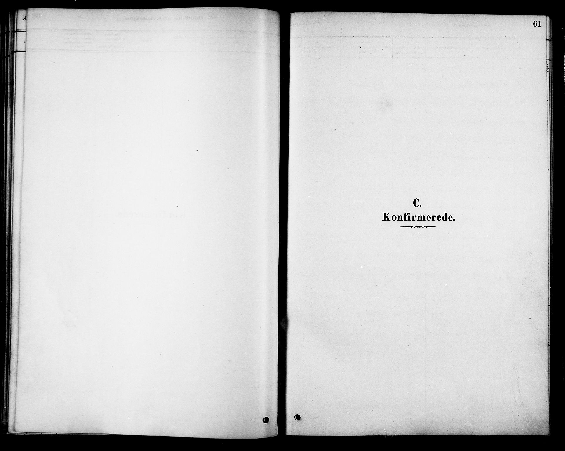 Ministerialprotokoller, klokkerbøker og fødselsregistre - Nordland, SAT/A-1459/886/L1219: Ministerialbok nr. 886A01, 1878-1892, s. 61