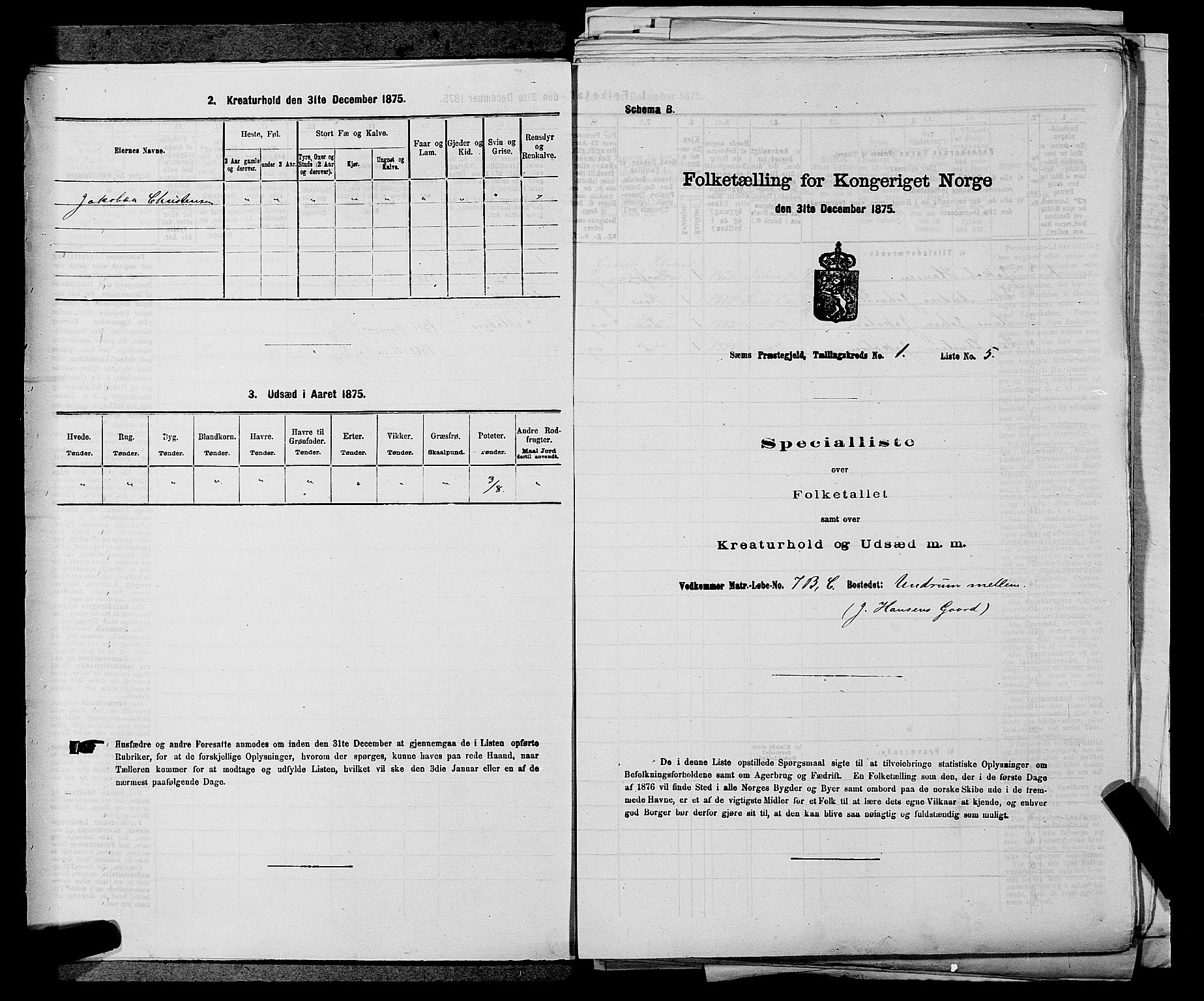 SAKO, Folketelling 1875 for 0721P Sem prestegjeld, 1875, s. 91