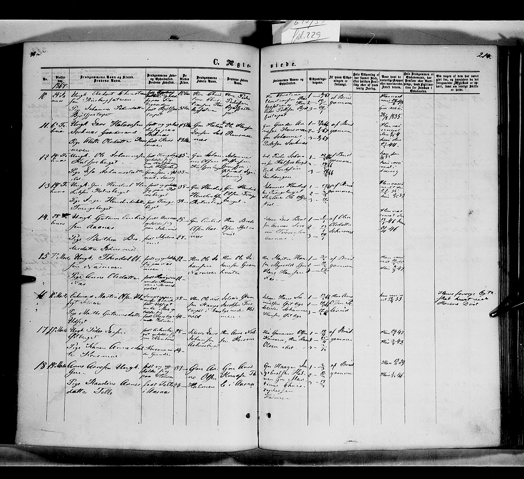 Grue prestekontor, AV/SAH-PREST-036/H/Ha/Haa/L0010: Ministerialbok nr. 10, 1864-1873, s. 214