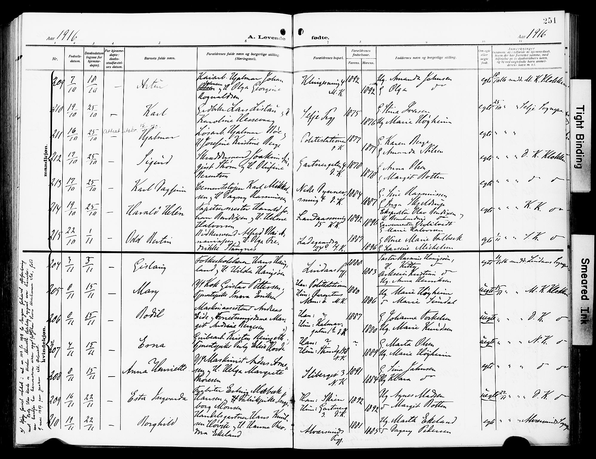 Fødselsstiftelsens sokneprestembete*, SAB/-: Ministerialbok nr. A 4, 1910-1918, s. 251