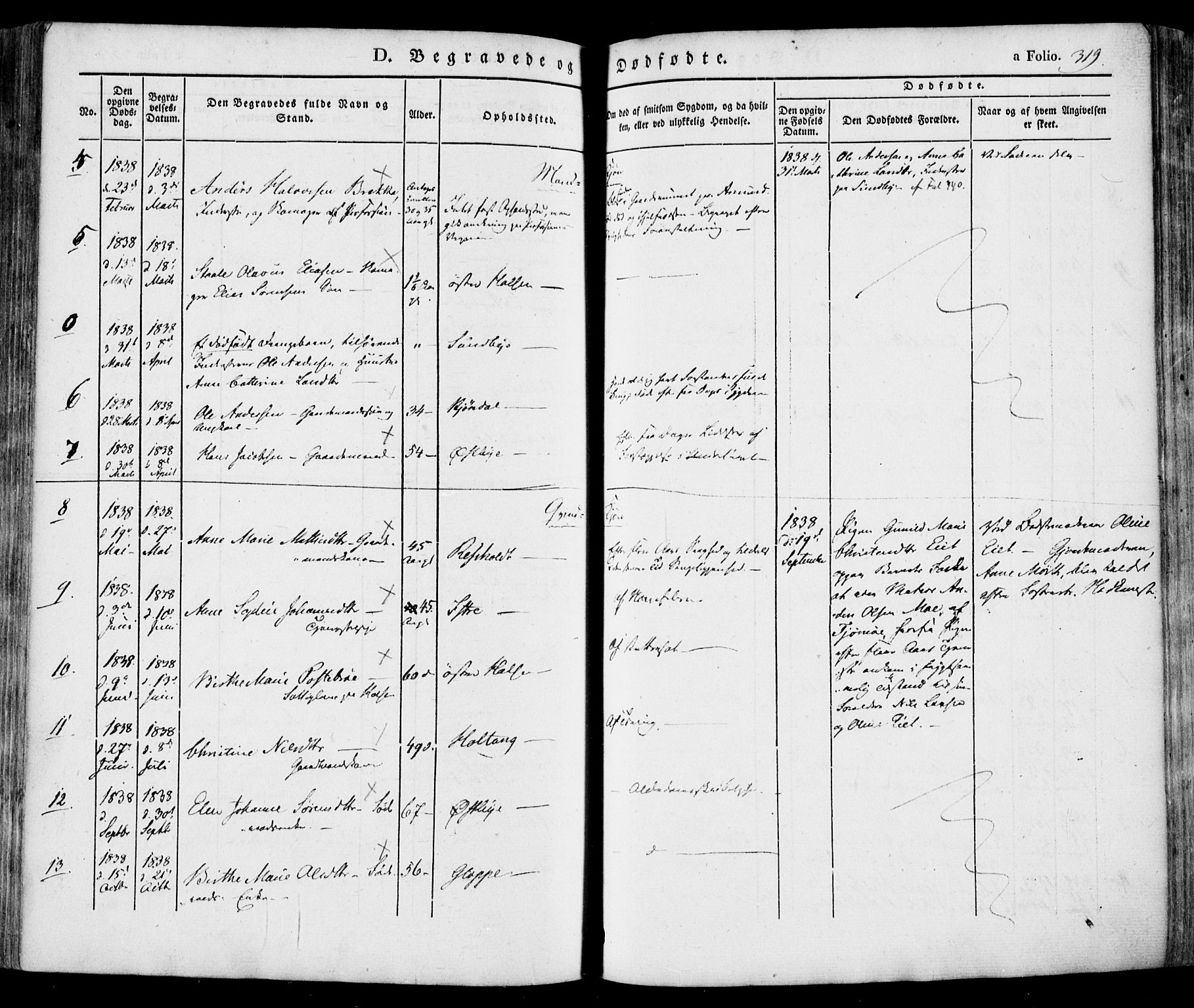 Tjølling kirkebøker, AV/SAKO-A-60/F/Fa/L0006: Ministerialbok nr. 6, 1835-1859, s. 319