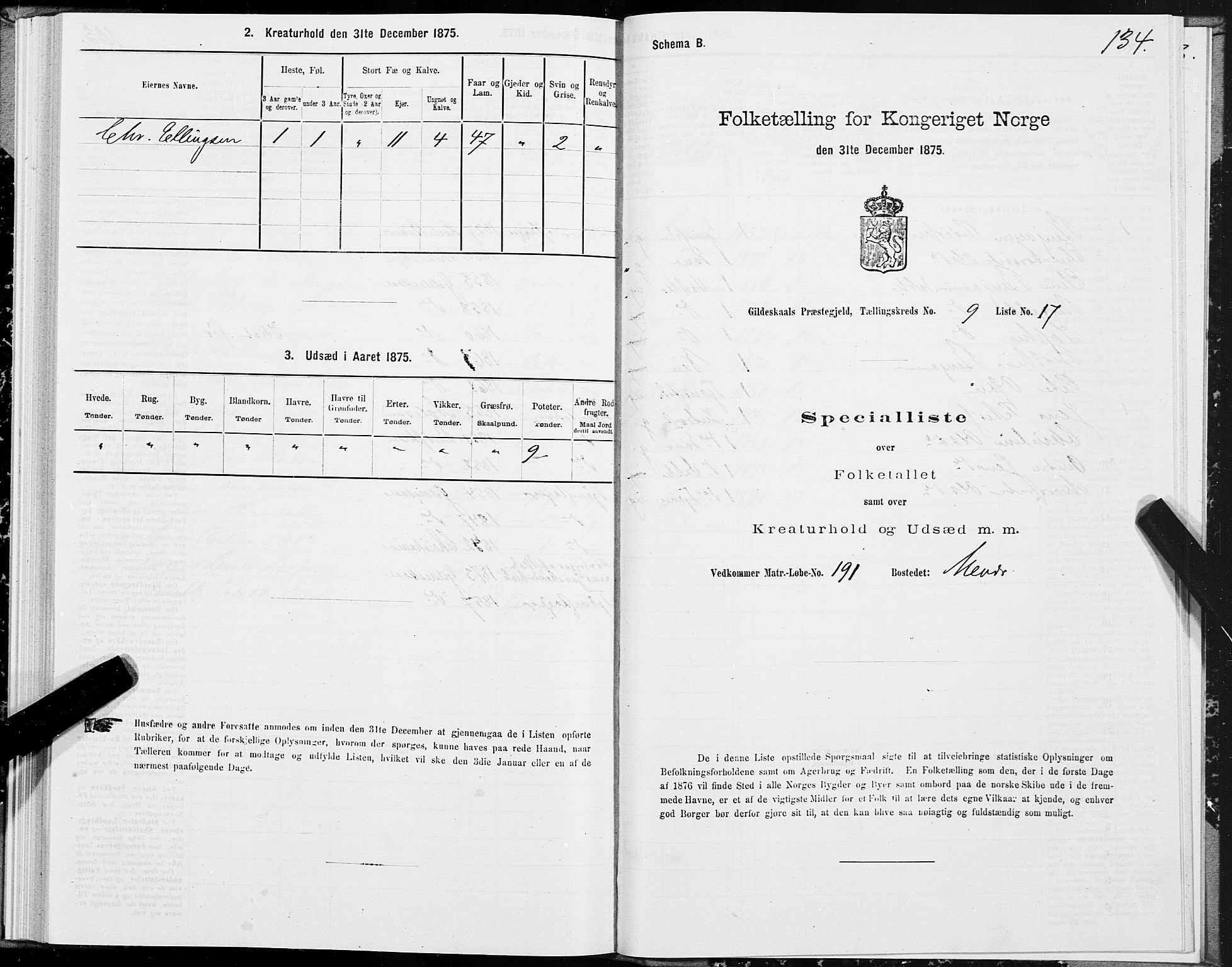 SAT, Folketelling 1875 for 1838P Gildeskål prestegjeld, 1875, s. 4134