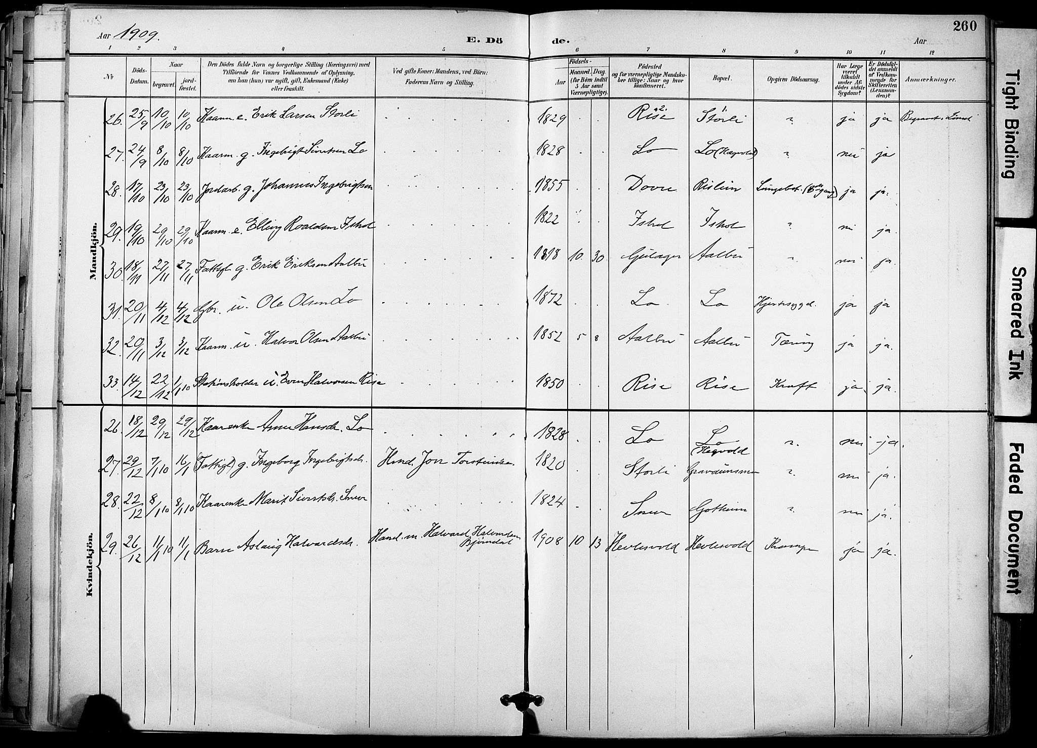 Ministerialprotokoller, klokkerbøker og fødselsregistre - Sør-Trøndelag, AV/SAT-A-1456/678/L0902: Ministerialbok nr. 678A11, 1895-1911, s. 260