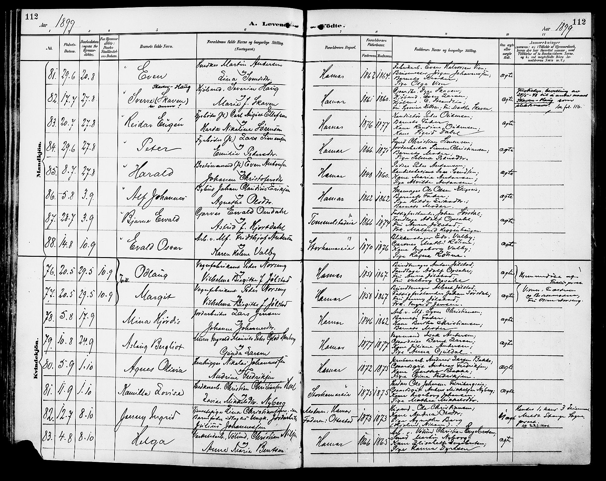 Vang prestekontor, Hedmark, AV/SAH-PREST-008/H/Ha/Haa/L0017: Ministerialbok nr. 17, 1890-1899, s. 112