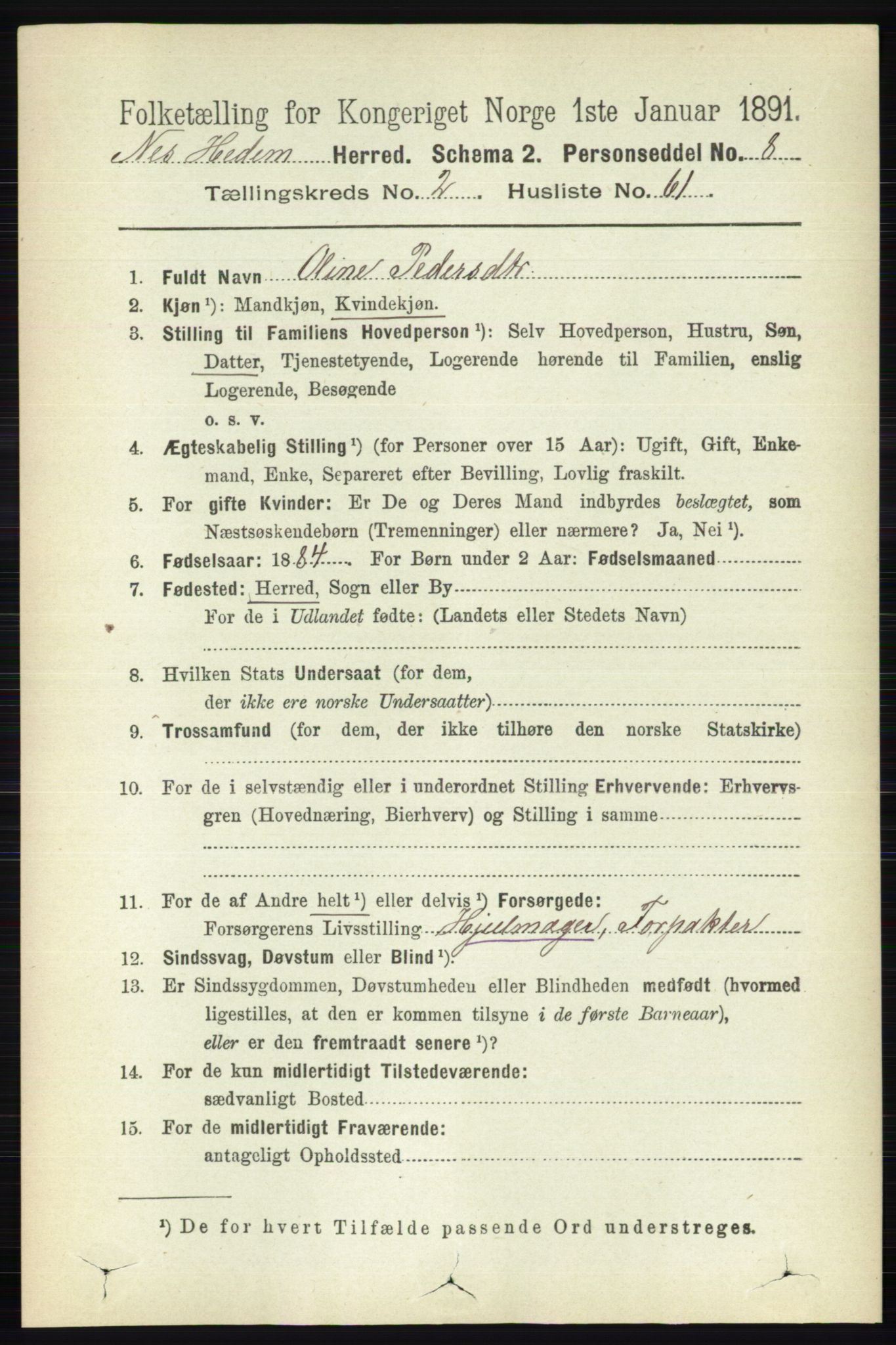 RA, Folketelling 1891 for 0411 Nes herred, 1891, s. 1497