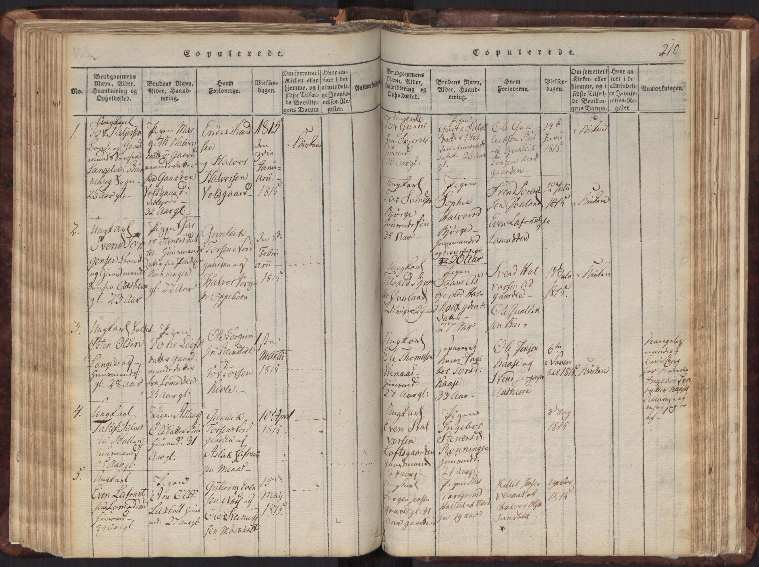 Seljord kirkebøker, SAKO/A-20/F/Fa/L0010: Ministerialbok nr. I 10, 1815-1831