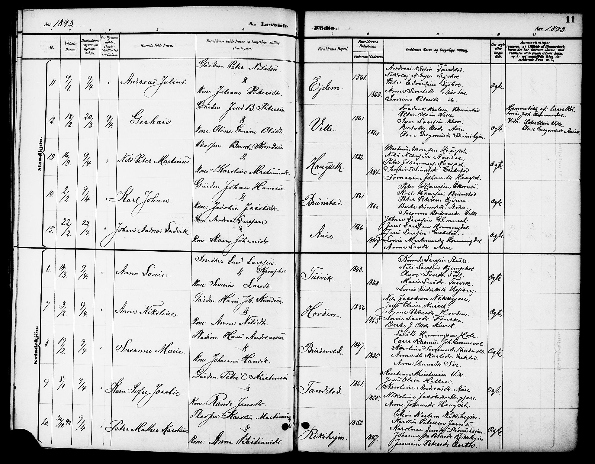 Ministerialprotokoller, klokkerbøker og fødselsregistre - Møre og Romsdal, AV/SAT-A-1454/523/L0340: Klokkerbok nr. 523C03, 1892-1902, s. 11