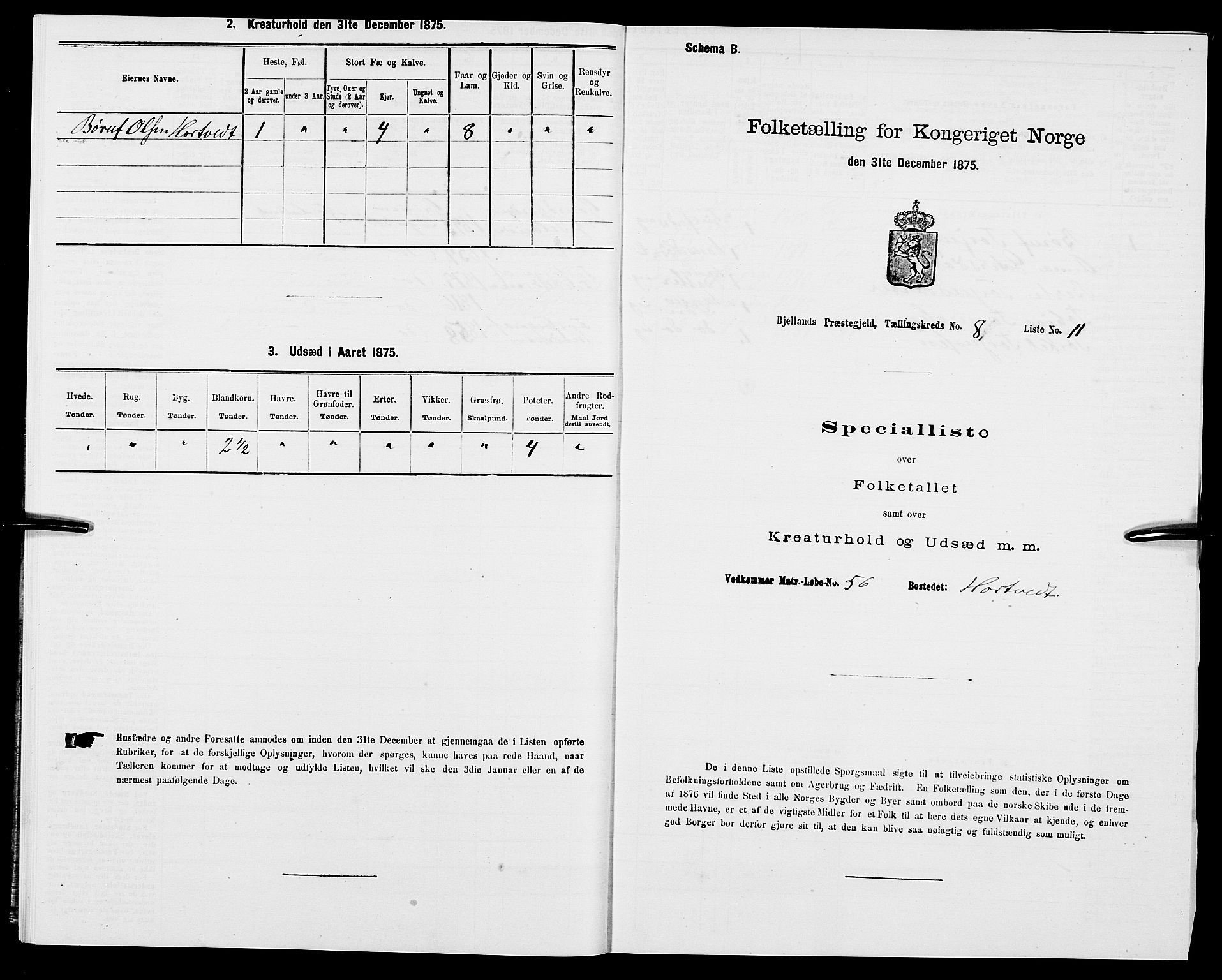 SAK, Folketelling 1875 for 1024P Bjelland prestegjeld, 1875, s. 529