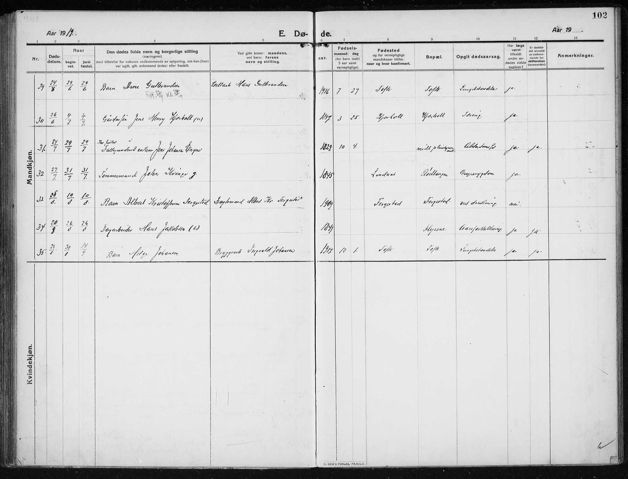 Hurum kirkebøker, AV/SAKO-A-229/F/Fa/L0017: Ministerialbok nr. 17, 1910-1925, s. 102