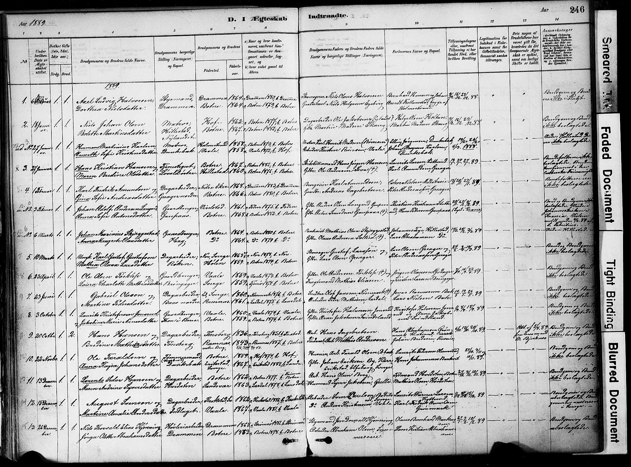 Botne kirkebøker, AV/SAKO-A-340/F/Fa/L0007: Ministerialbok nr. I 7, 1878-1910, s. 246