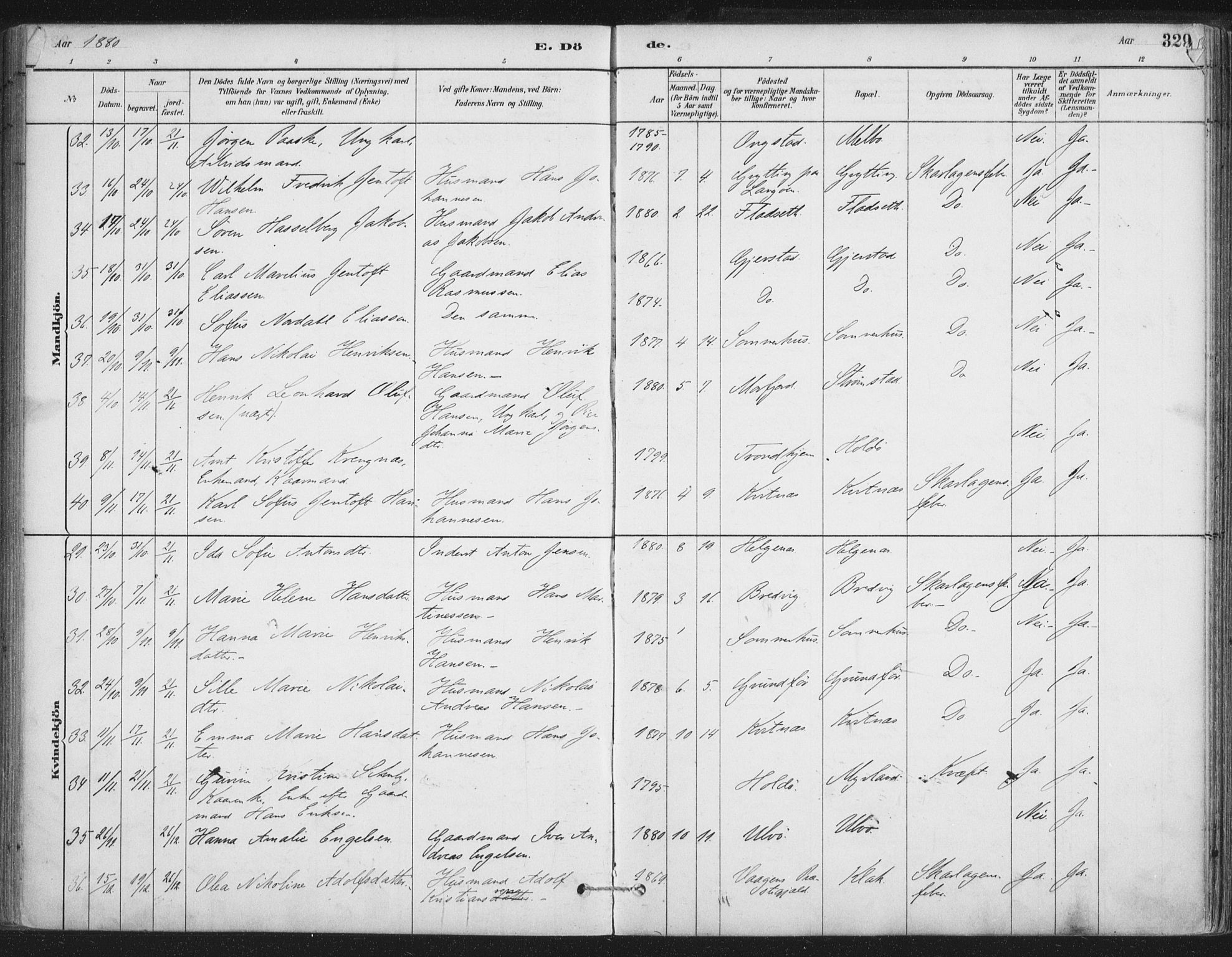 Ministerialprotokoller, klokkerbøker og fødselsregistre - Nordland, AV/SAT-A-1459/888/L1244: Ministerialbok nr. 888A10, 1880-1890, s. 329