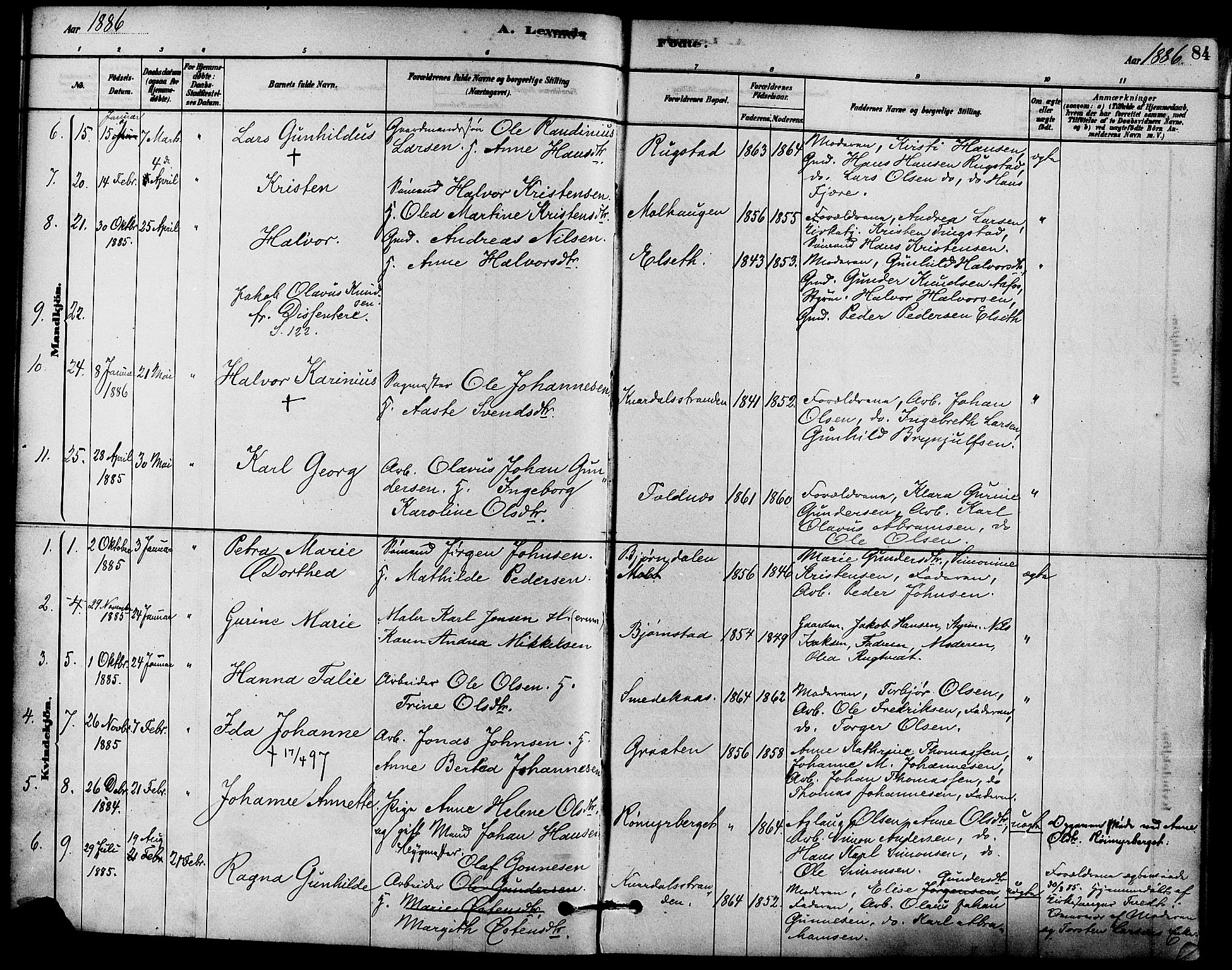 Solum kirkebøker, AV/SAKO-A-306/F/Fa/L0009: Ministerialbok nr. I 9, 1877-1887, s. 84