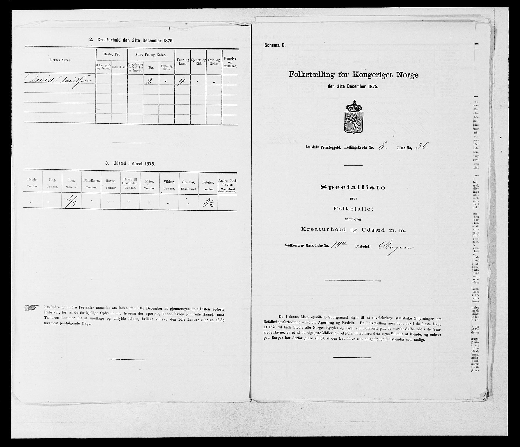 SAB, Folketelling 1875 for 1422P Lærdal prestegjeld, 1875, s. 717