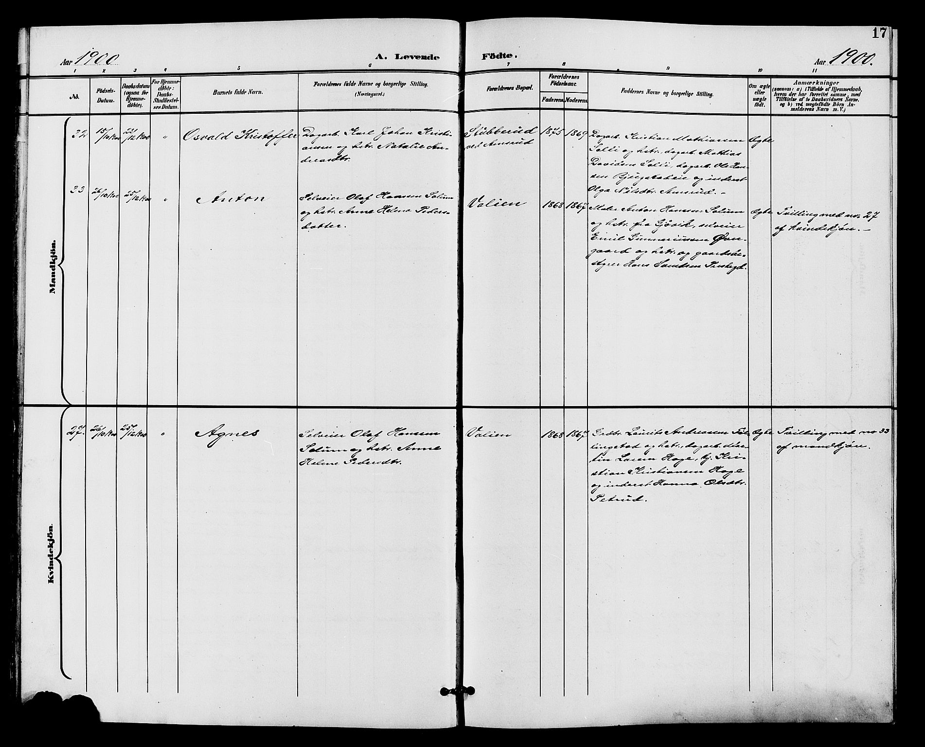 Vardal prestekontor, SAH/PREST-100/H/Ha/Hab/L0011: Klokkerbok nr. 11, 1899-1913, s. 17