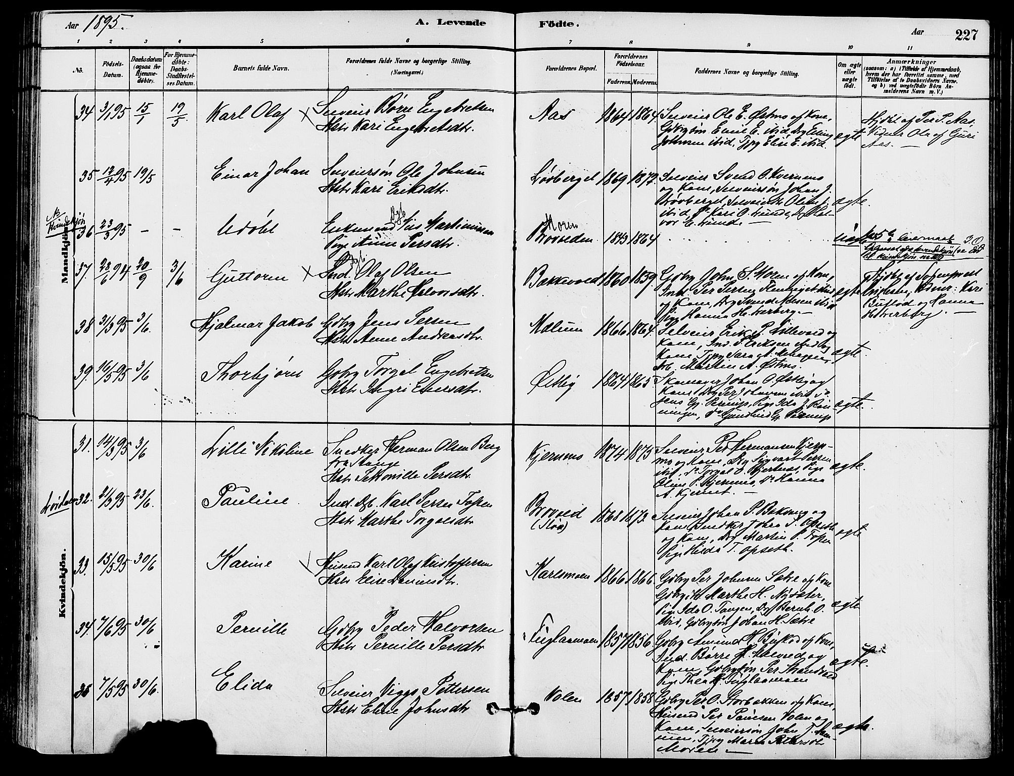 Trysil prestekontor, SAH/PREST-046/H/Ha/Haa/L0008: Ministerialbok nr. 8, 1881-1897, s. 227