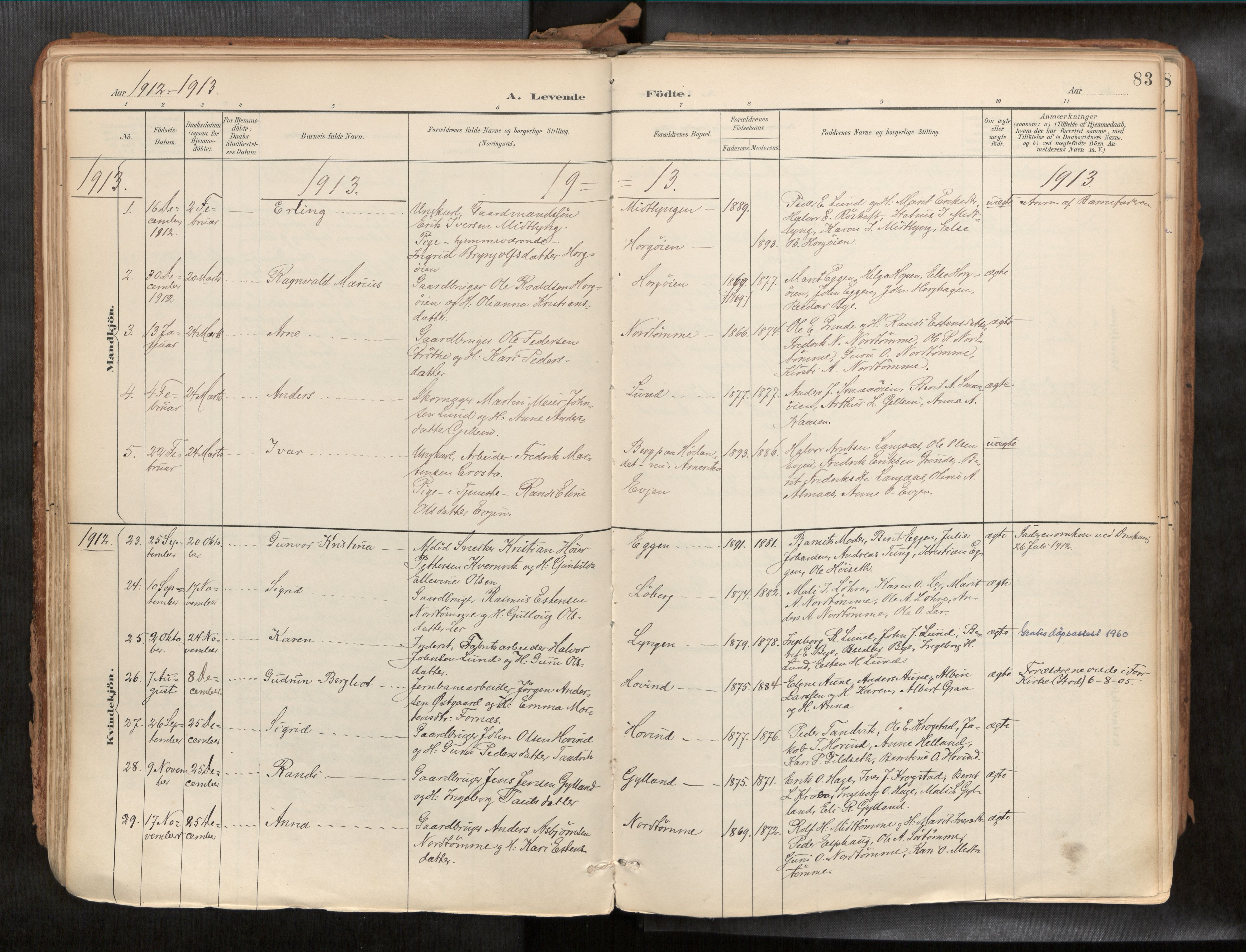 Ministerialprotokoller, klokkerbøker og fødselsregistre - Sør-Trøndelag, AV/SAT-A-1456/692/L1105b: Ministerialbok nr. 692A06, 1891-1934, s. 83