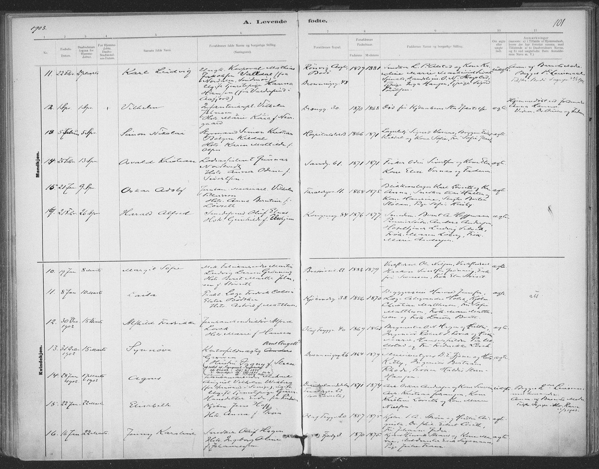 Ministerialprotokoller, klokkerbøker og fødselsregistre - Sør-Trøndelag, SAT/A-1456/602/L0122: Ministerialbok nr. 602A20, 1892-1908, s. 101