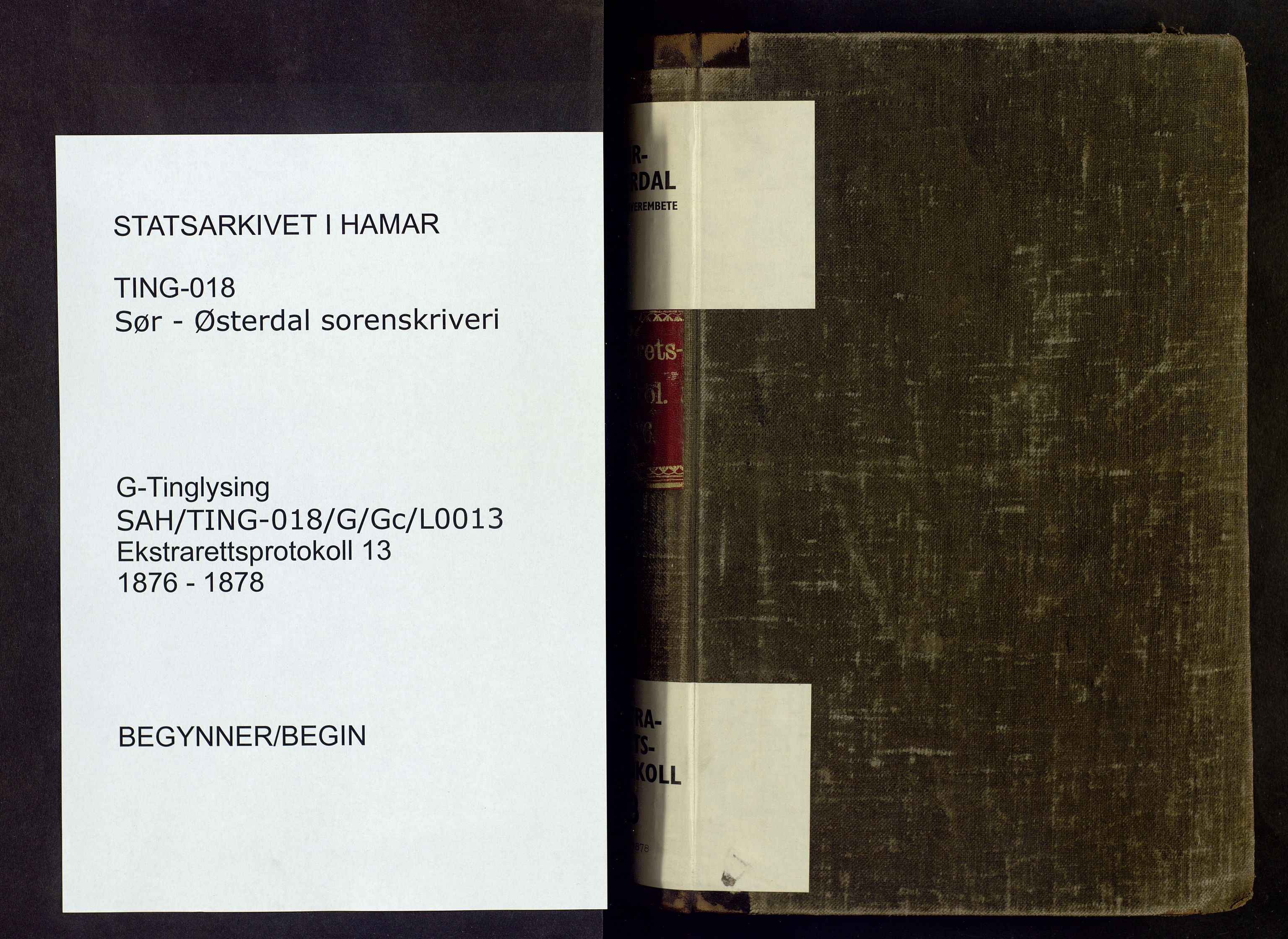 Sør-Østerdal sorenskriveri, SAH/TING-018/G/Gc/L0013: Ekstrarettsprotokoll, 1876-1878