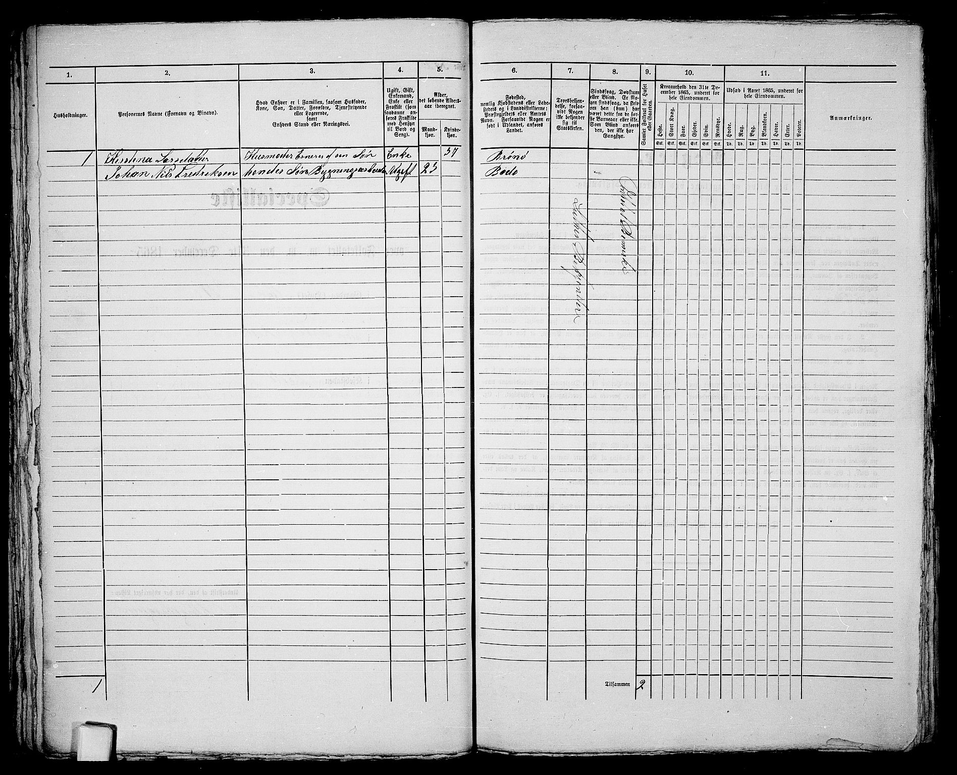 RA, Folketelling 1865 for 1804B Bodø prestegjeld, Bodø kjøpstad, 1865, s. 49