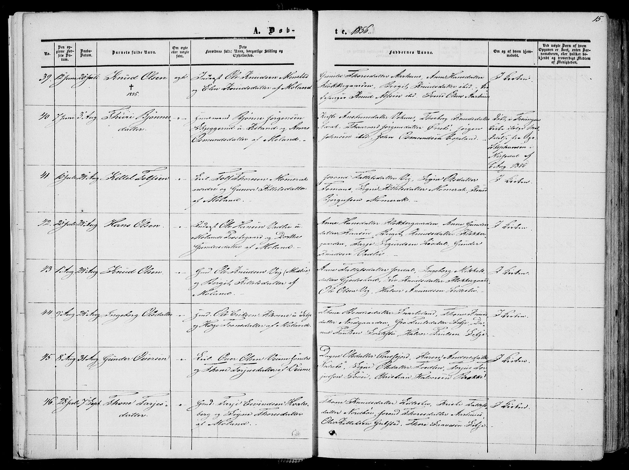 Fyresdal kirkebøker, AV/SAKO-A-263/F/Fa/L0005: Ministerialbok nr. I 5, 1855-1871, s. 15
