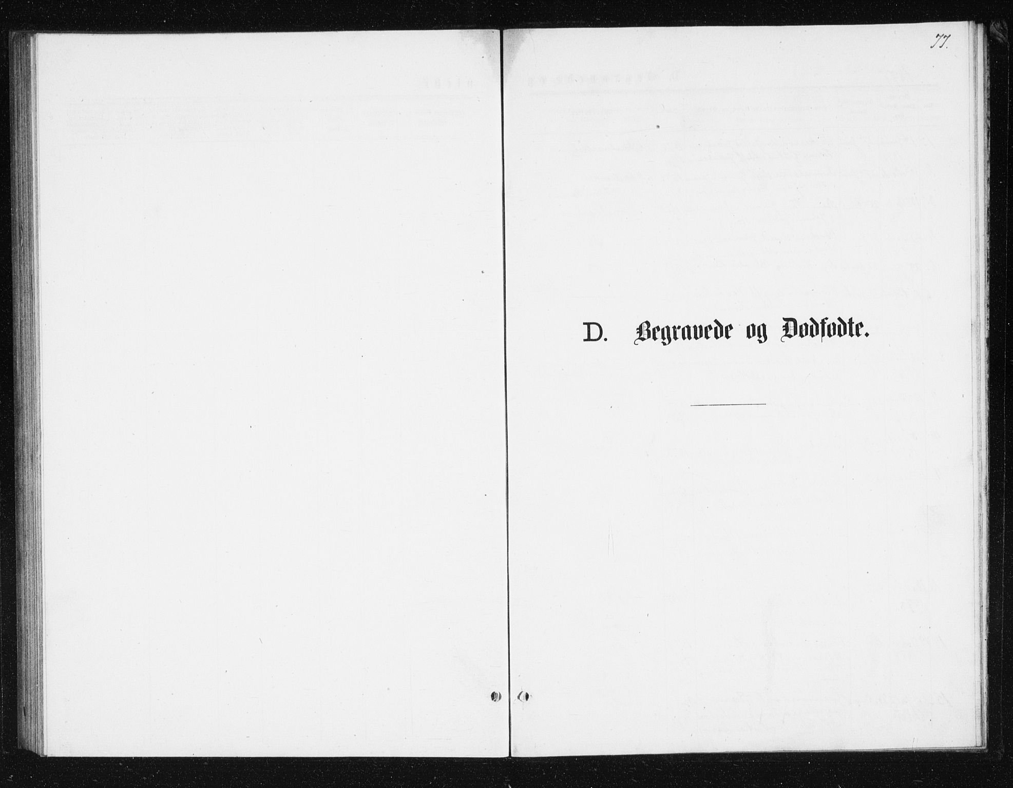 Berg sokneprestkontor, SATØ/S-1318/G/Ga/Gab/L0016klokker: Klokkerbok nr. 16, 1877-1880, s. 77