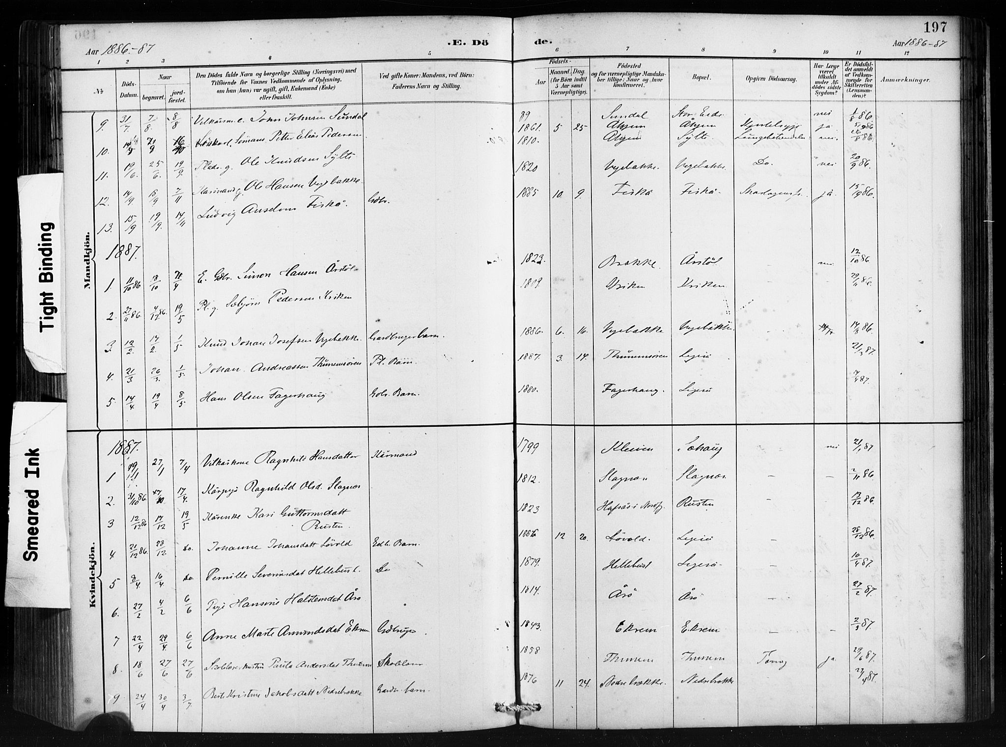 Ministerialprotokoller, klokkerbøker og fødselsregistre - Møre og Romsdal, SAT/A-1454/501/L0008: Ministerialbok nr. 501A08, 1885-1901, s. 197