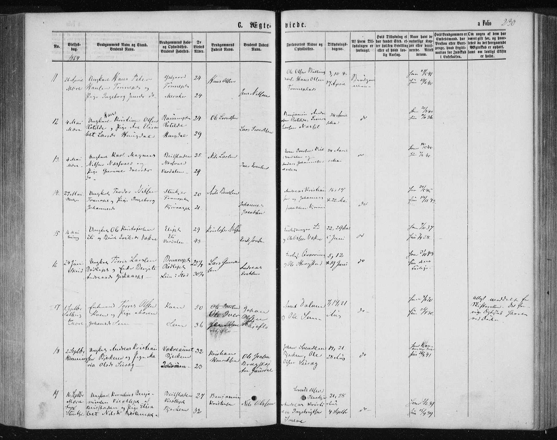 Ministerialprotokoller, klokkerbøker og fødselsregistre - Nord-Trøndelag, AV/SAT-A-1458/735/L0345: Ministerialbok nr. 735A08 /1, 1863-1872, s. 230
