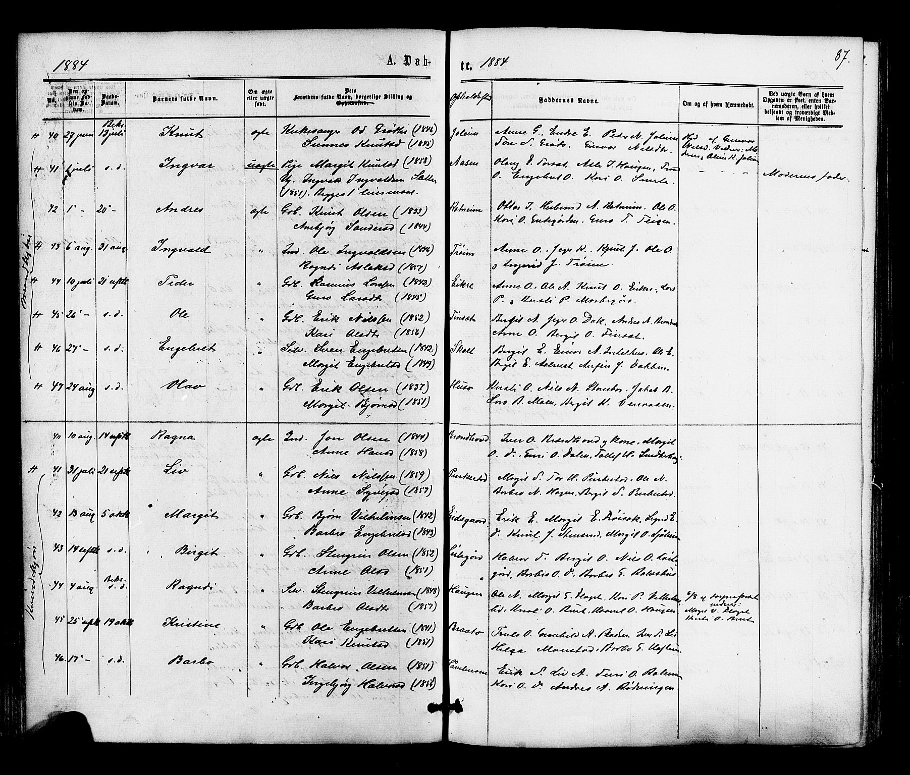 Gol kirkebøker, AV/SAKO-A-226/F/Fa/L0004: Ministerialbok nr. I 4, 1876-1886, s. 87