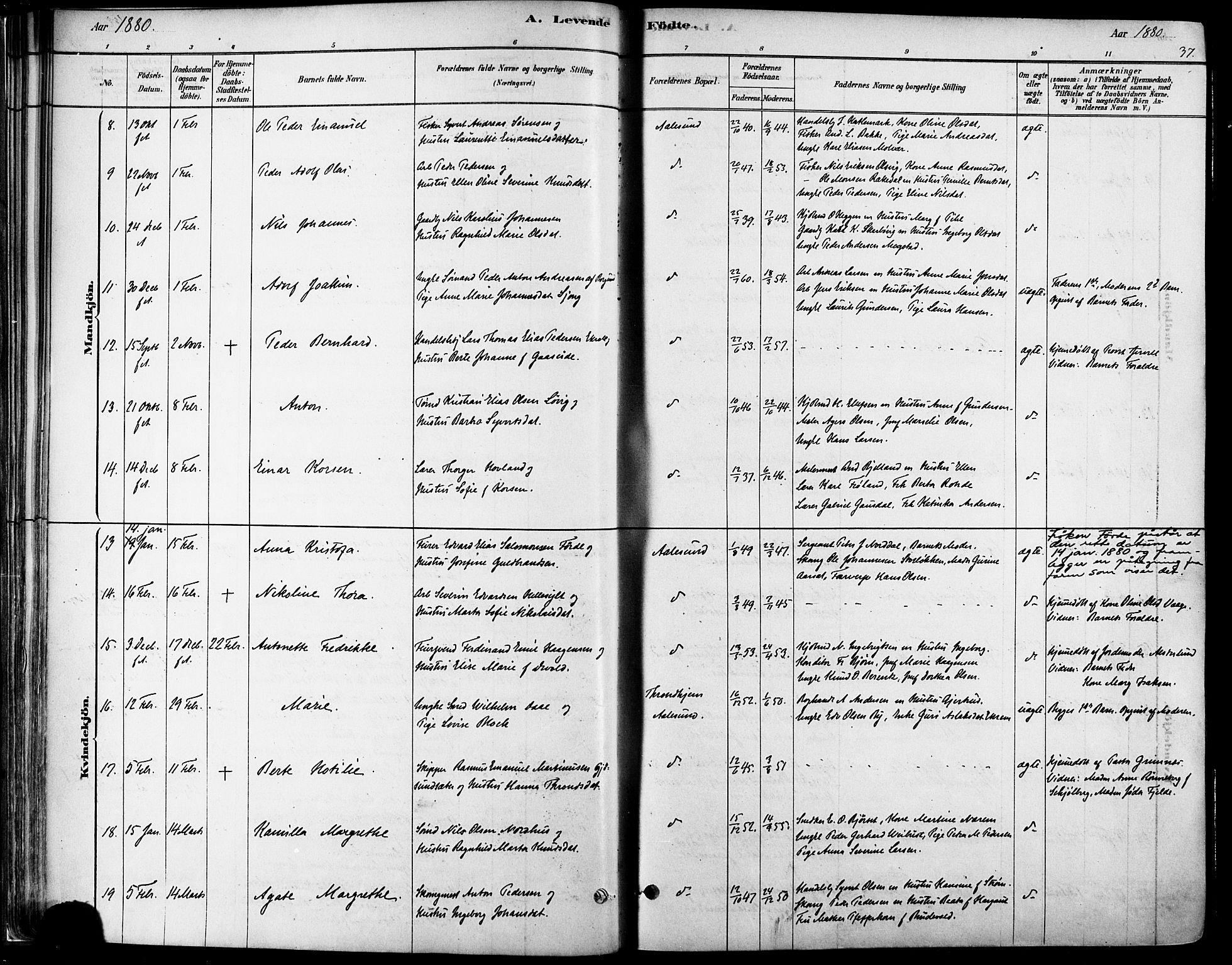 Ministerialprotokoller, klokkerbøker og fødselsregistre - Møre og Romsdal, AV/SAT-A-1454/529/L0454: Ministerialbok nr. 529A04, 1878-1885, s. 37