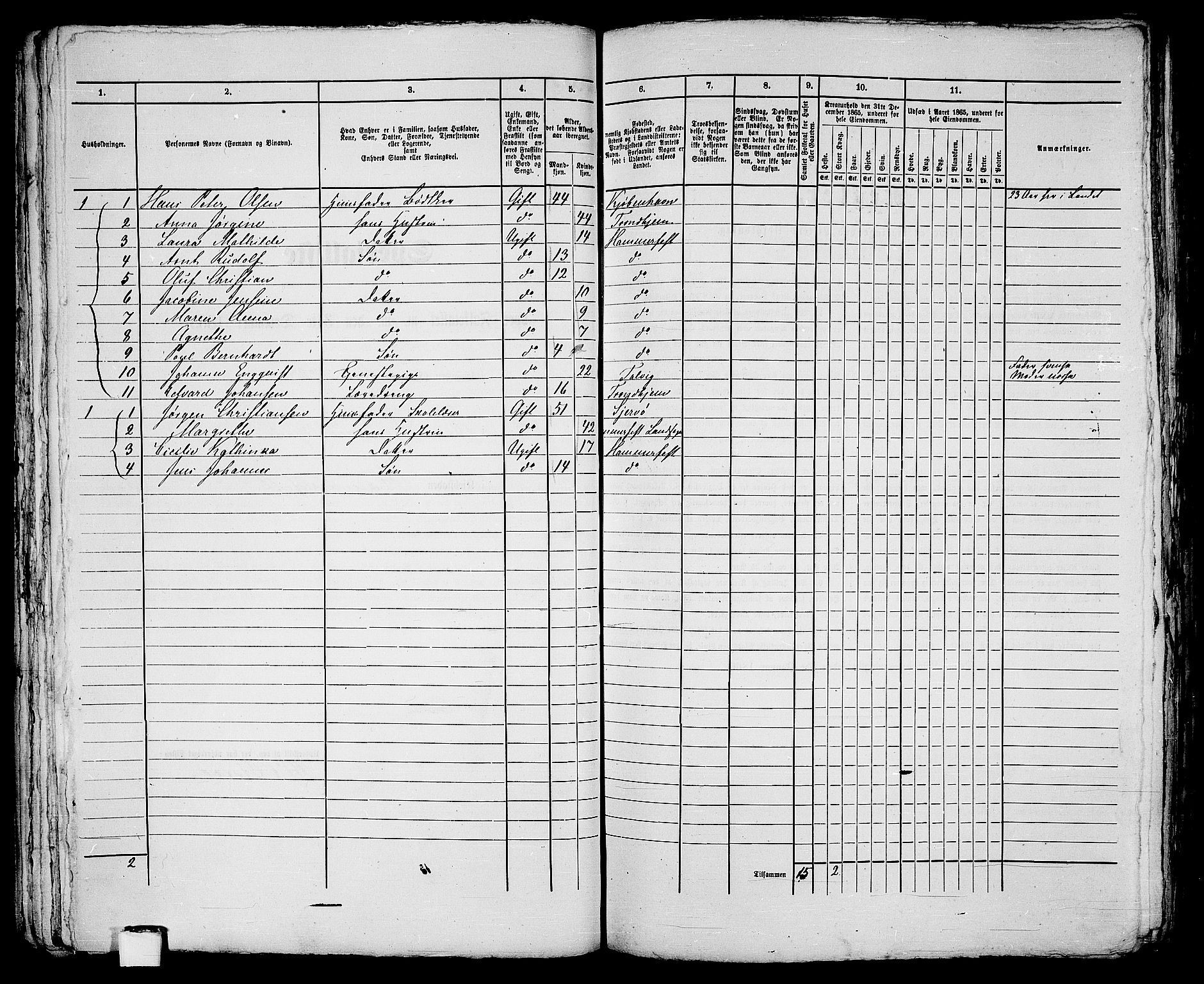 RA, Folketelling 1865 for 2001B Hammerfest prestegjeld, Hammerfest kjøpstad, 1865, s. 116