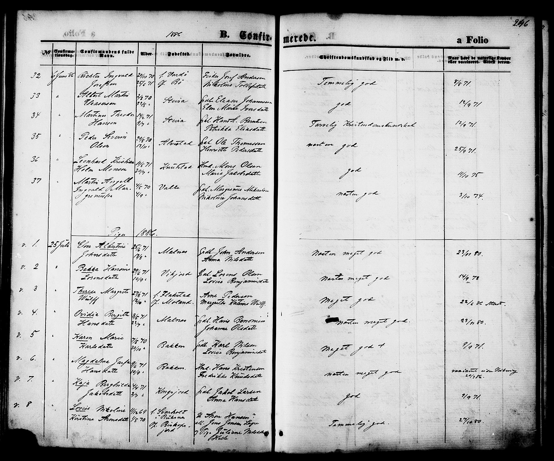 Ministerialprotokoller, klokkerbøker og fødselsregistre - Nordland, AV/SAT-A-1459/880/L1132: Ministerialbok nr. 880A06, 1869-1887, s. 246