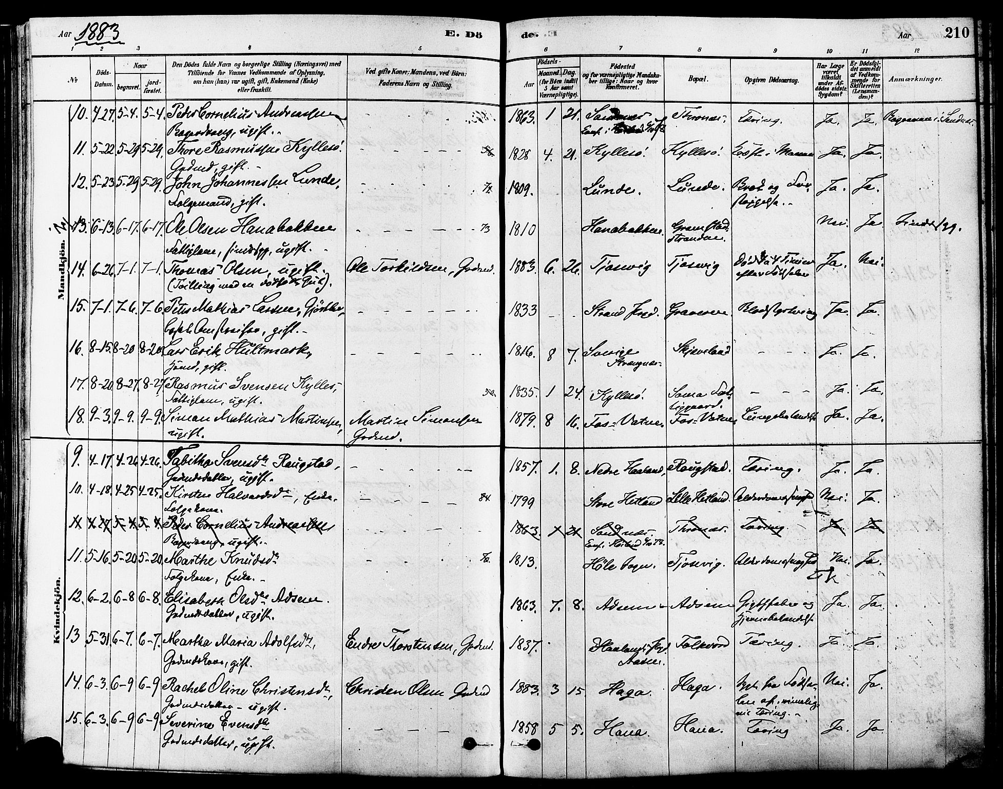 Høyland sokneprestkontor, AV/SAST-A-101799/001/30BA/L0011: Ministerialbok nr. A 10, 1878-1888, s. 210