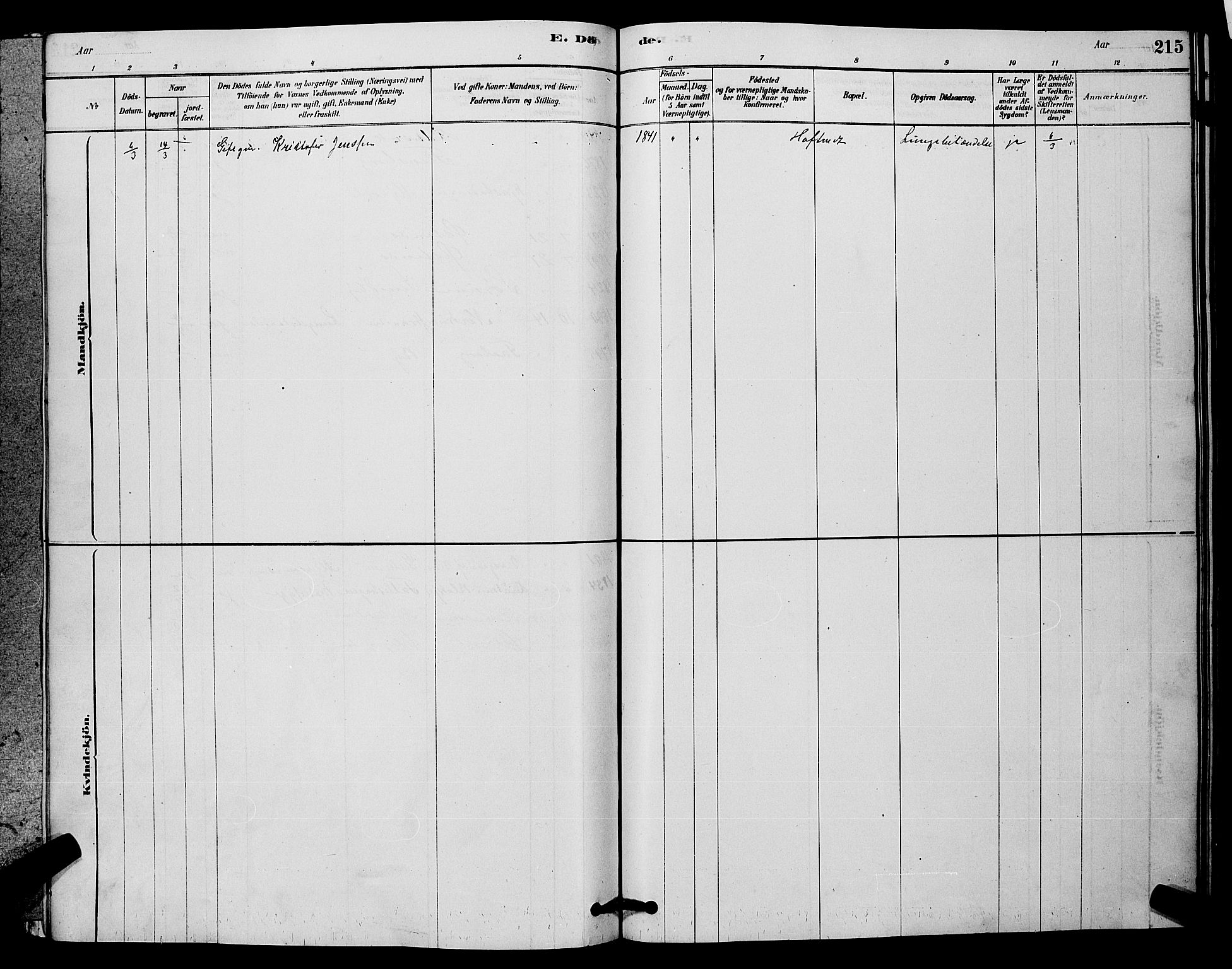 Fet prestekontor Kirkebøker, AV/SAO-A-10370a/G/Ga/L0006: Klokkerbok nr. I 6, 1878-1891, s. 215