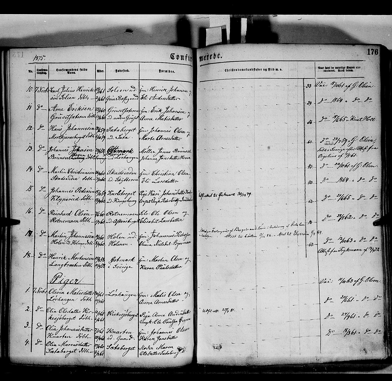 Grue prestekontor, AV/SAH-PREST-036/H/Ha/Haa/L0011: Ministerialbok nr. 11, 1873-1880, s. 176