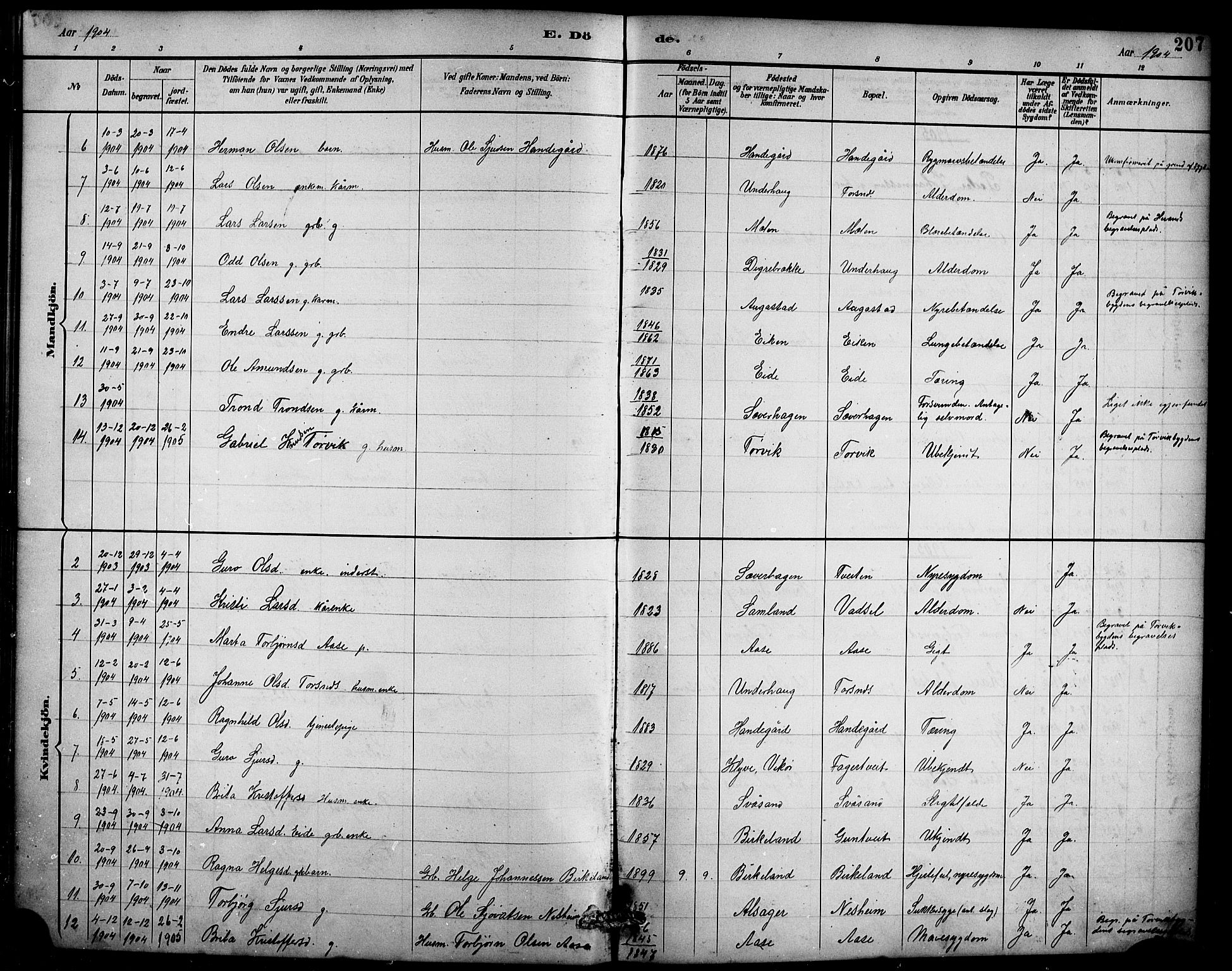Ullensvang sokneprestembete, AV/SAB-A-78701/H/Hab: Klokkerbok nr. D 1, 1891-1908, s. 207