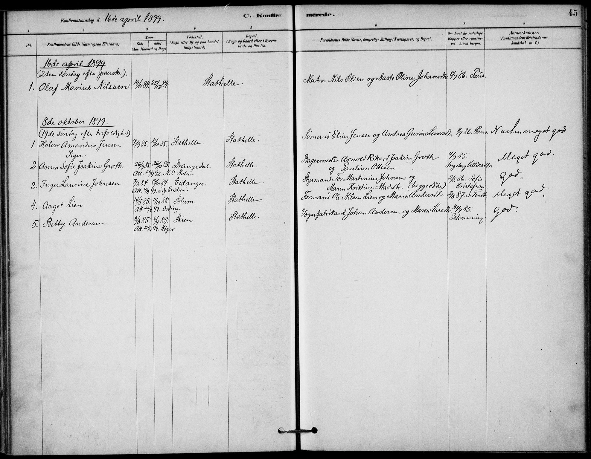 Bamble kirkebøker, AV/SAKO-A-253/G/Gb/L0001: Klokkerbok nr. II 1, 1878-1900, s. 45