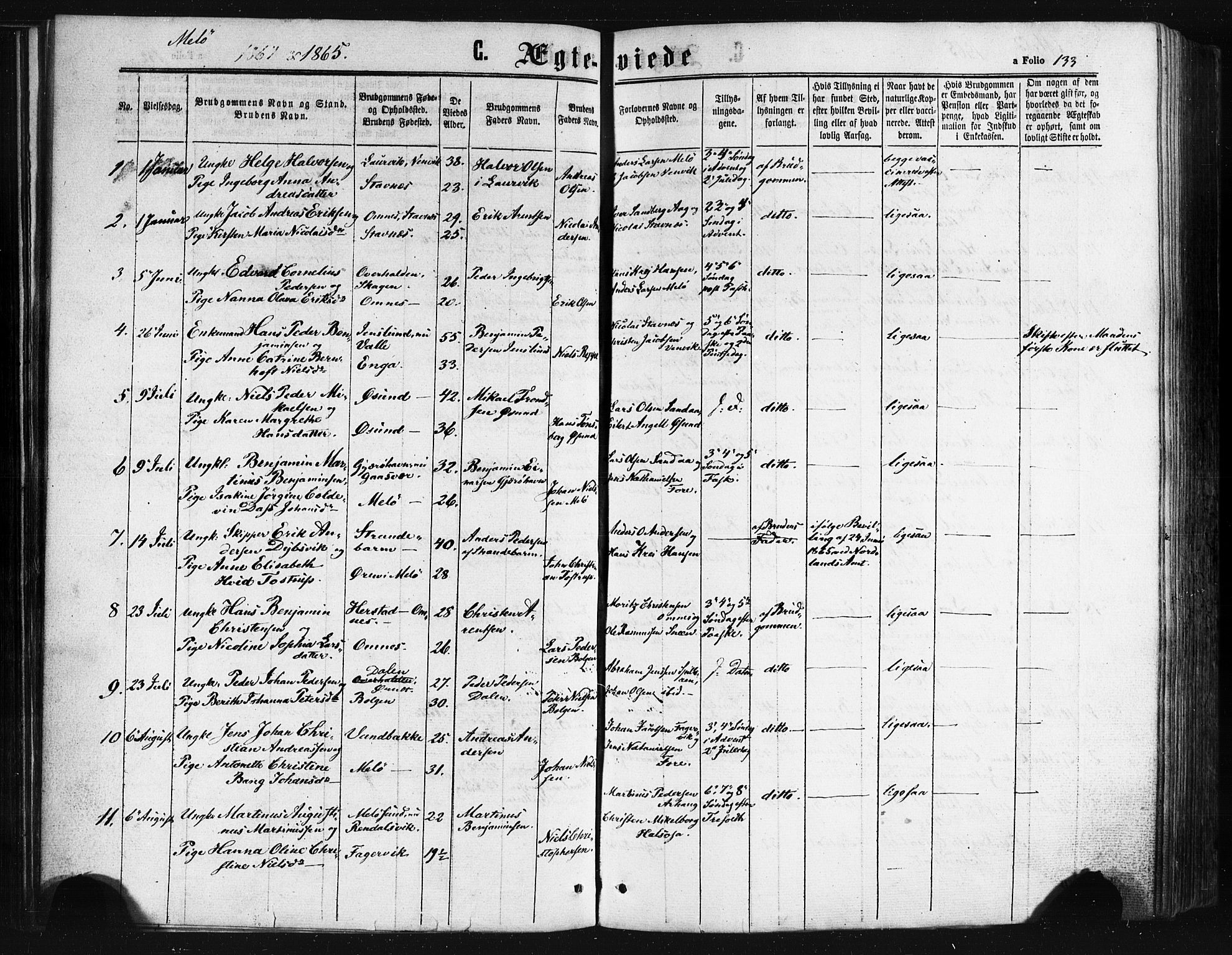 Ministerialprotokoller, klokkerbøker og fødselsregistre - Nordland, AV/SAT-A-1459/841/L0607: Ministerialbok nr. 841A11 /2, 1863-1877, s. 133