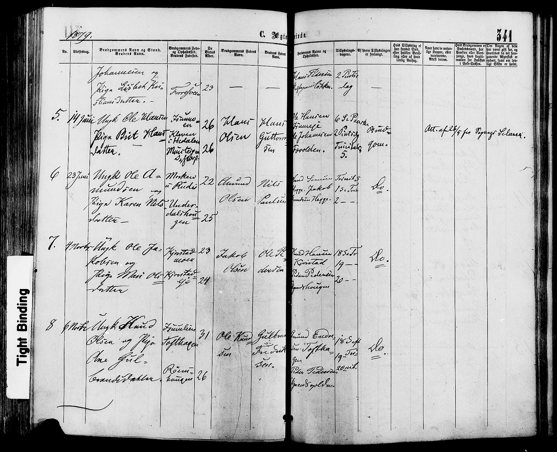 Sør-Fron prestekontor, AV/SAH-PREST-010/H/Ha/Haa/L0002: Ministerialbok nr. 2, 1864-1880, s. 341
